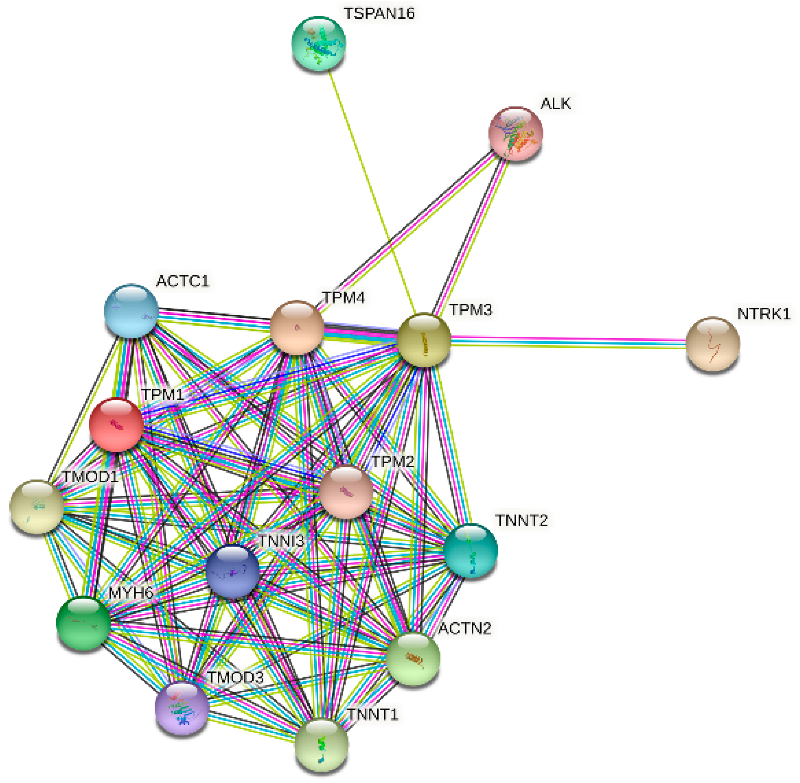 Biology 11 01115 g010 Biology 11 01115 g010