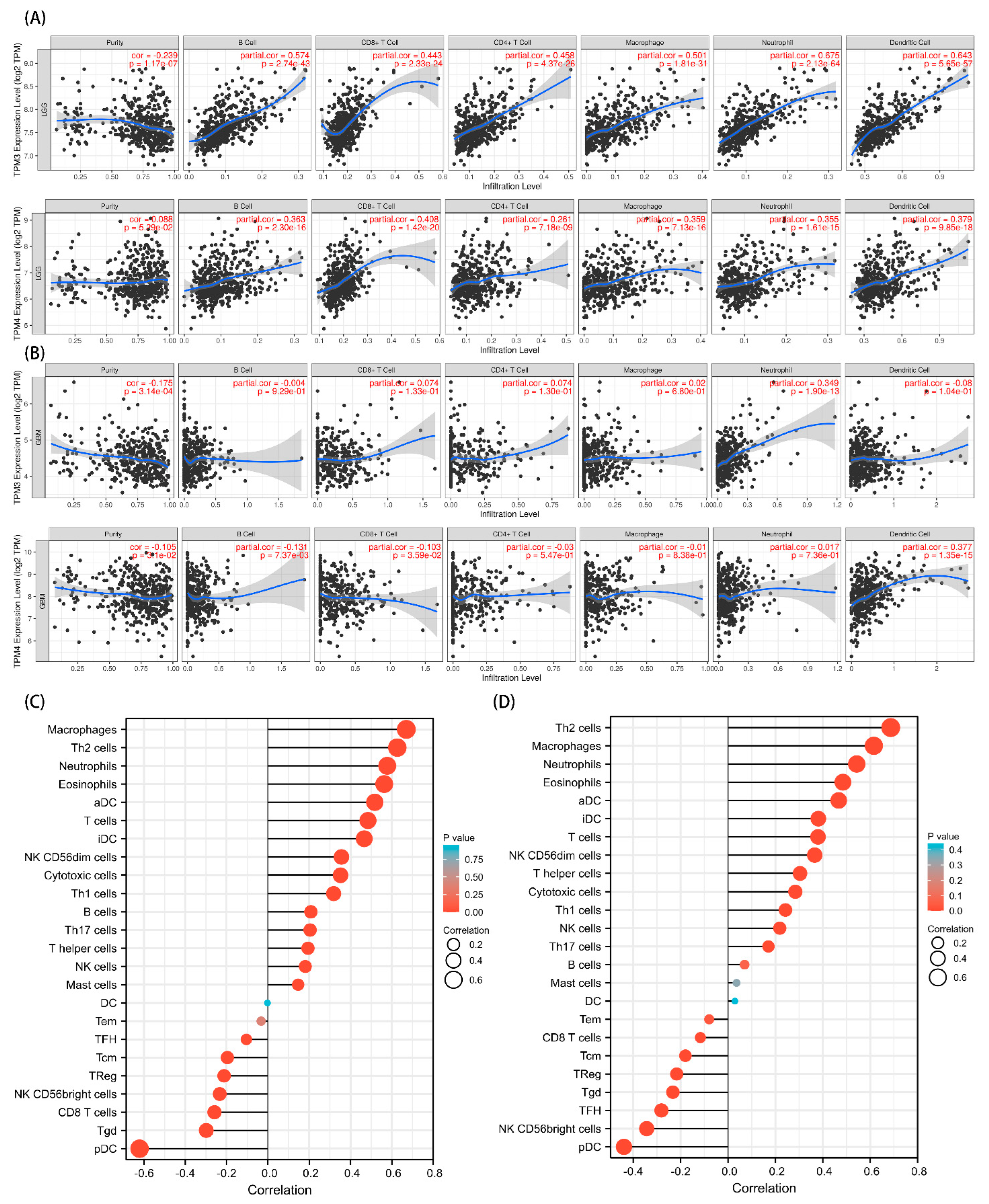 Biology 11 01115 g011 Biology 11 01115 g011