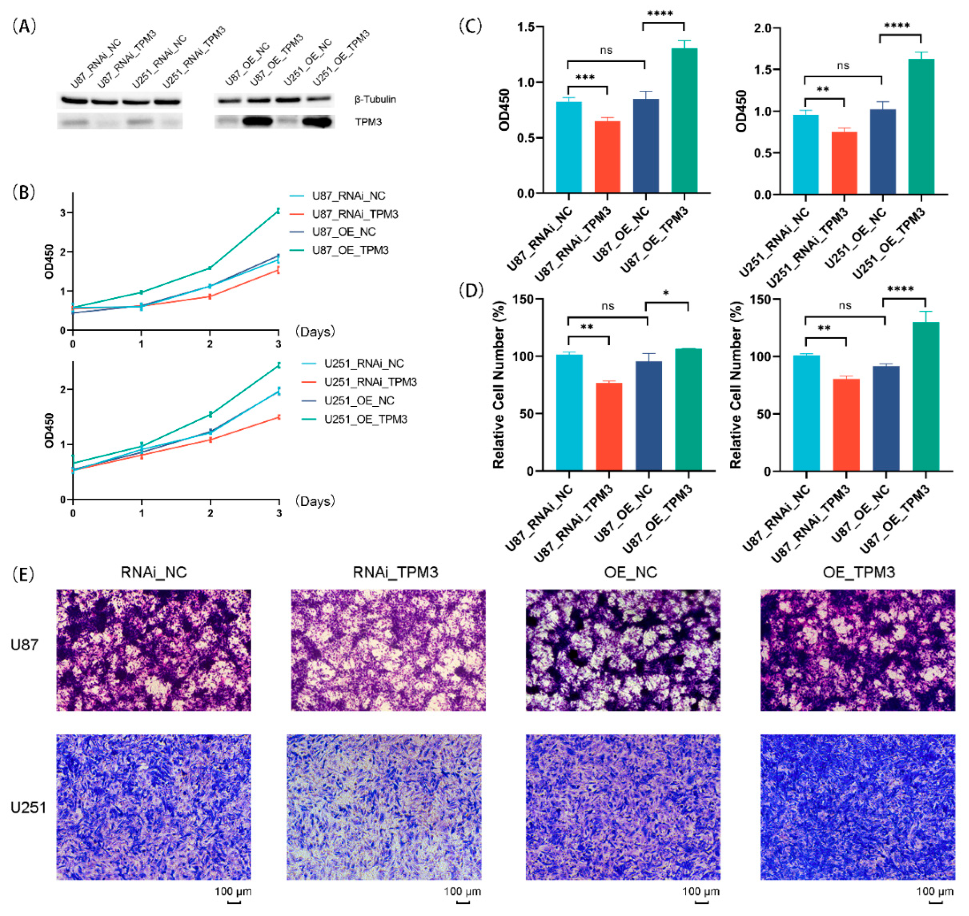 Biology 11 01115 g012 Biology 11 01115 g012