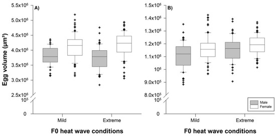 Heatwave-like events affect drone production and brood-care