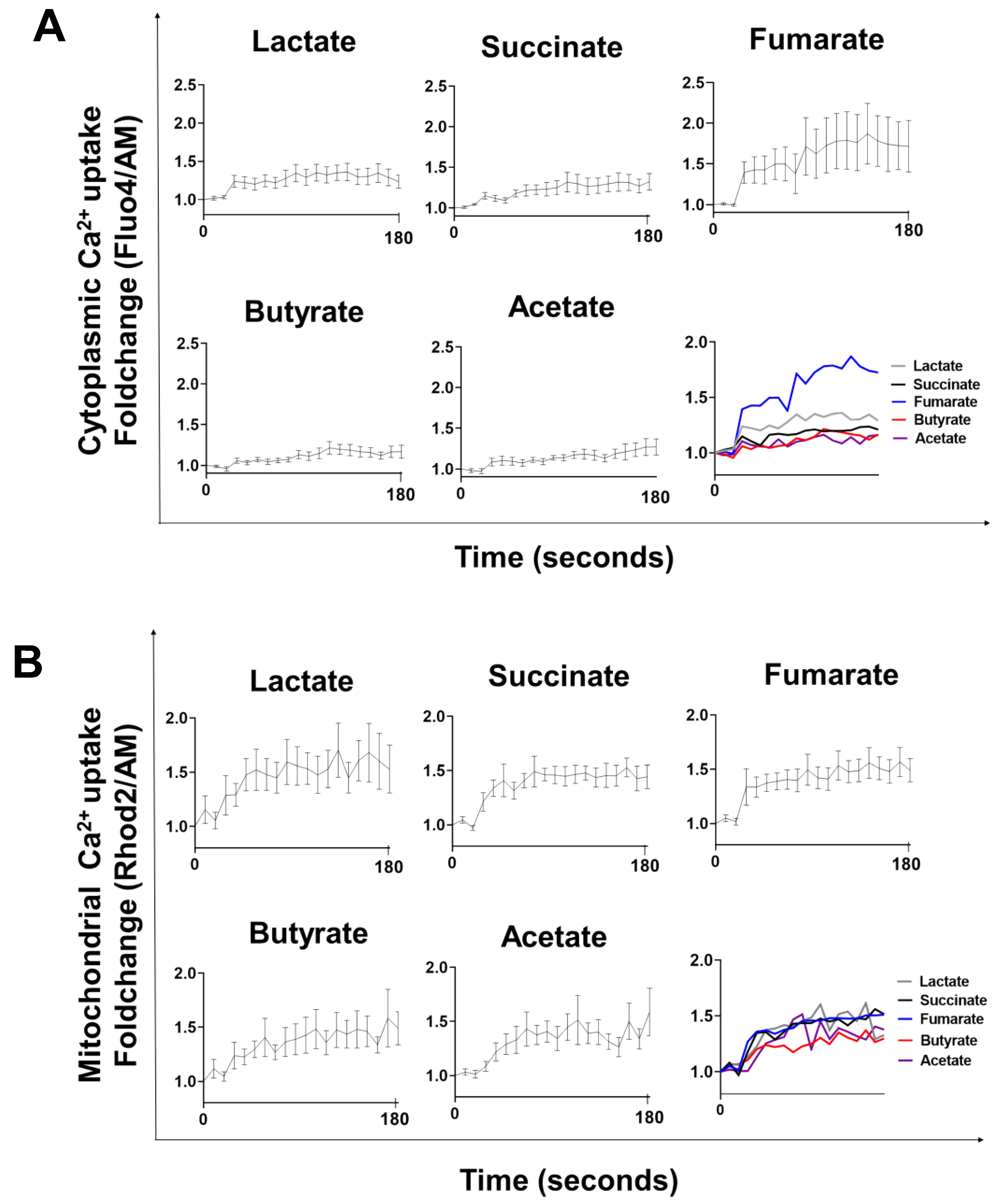 Biology | Free Full-Text | Mitochondrial Ultrastructure and