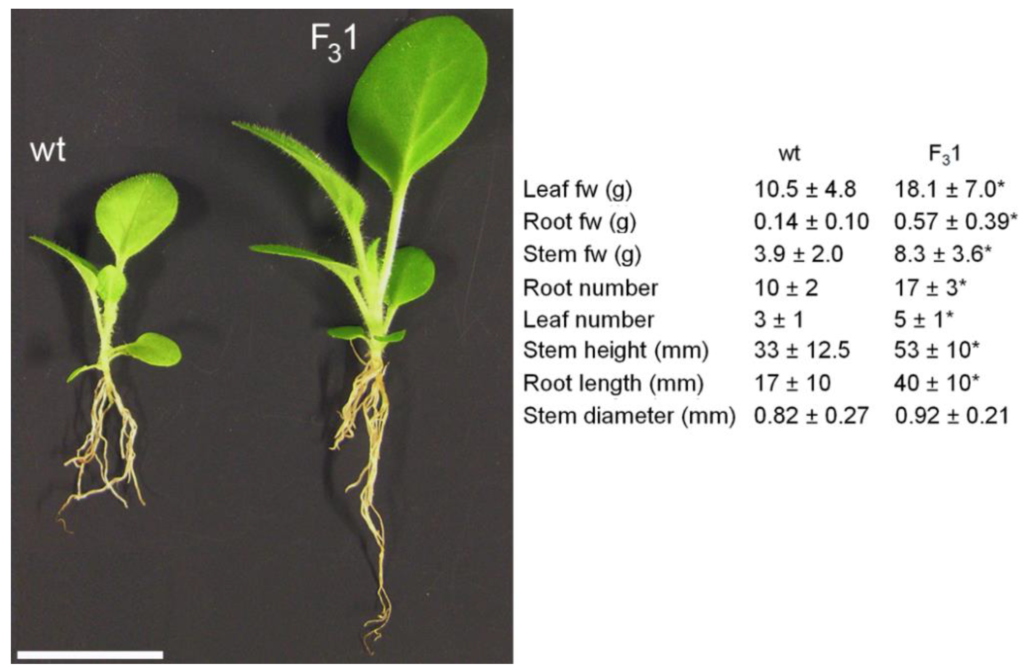 Biology 11 01139 g004