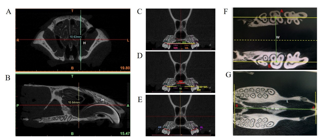 Biology 11 01142 g002 Biology 11 01142 g002