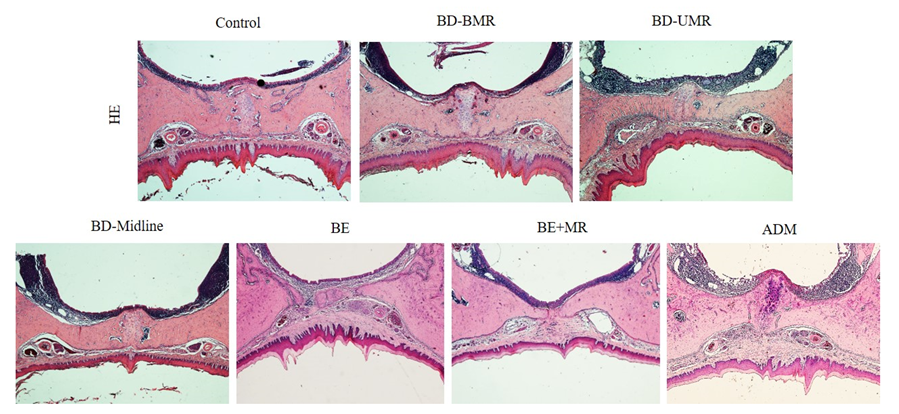 Biology 11 01142 g005 Biology 11 01142 g005