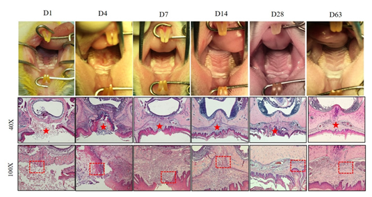 Biology 11 01142 g006 Biology 11 01142 g006