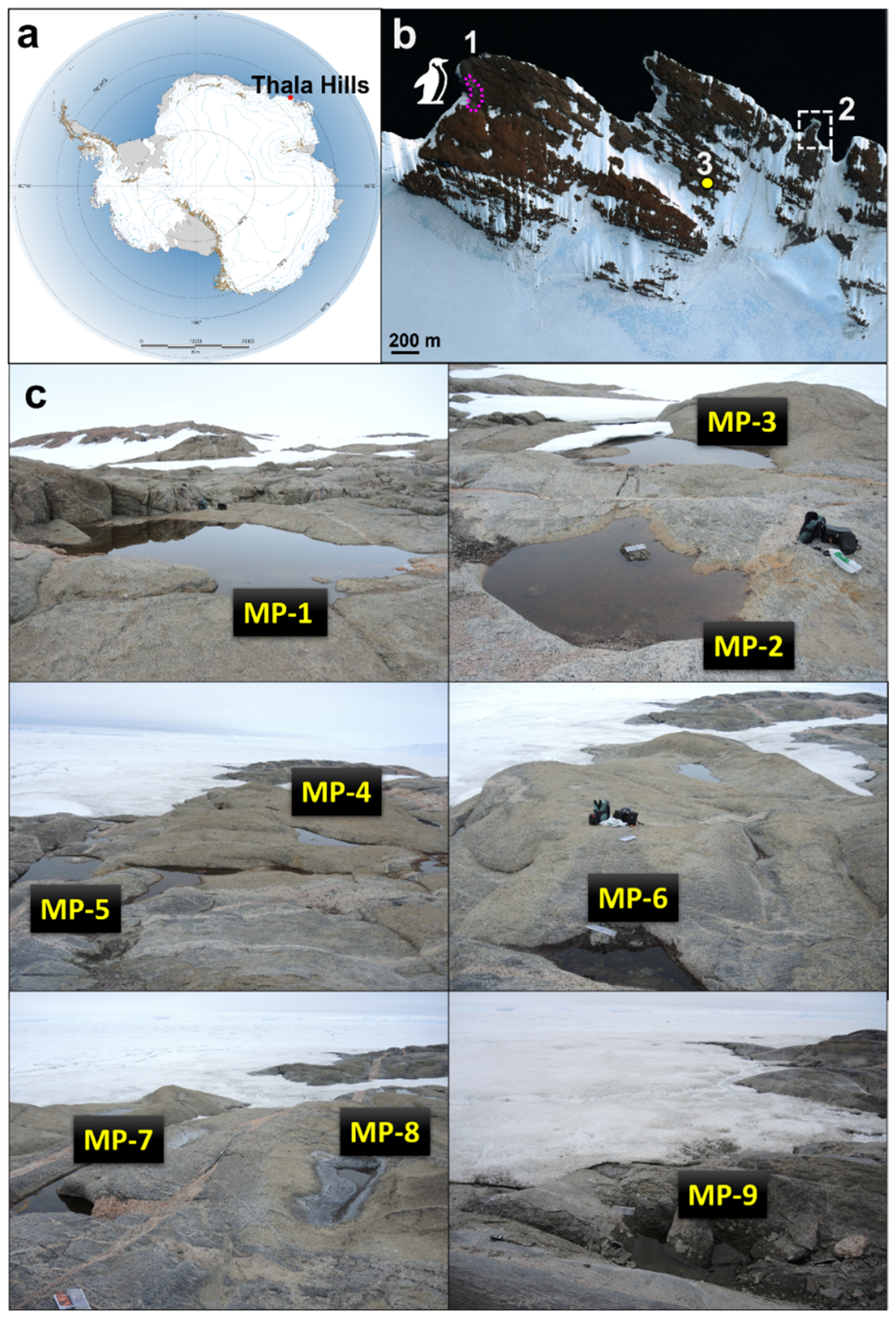 Biology 11 01143 g001