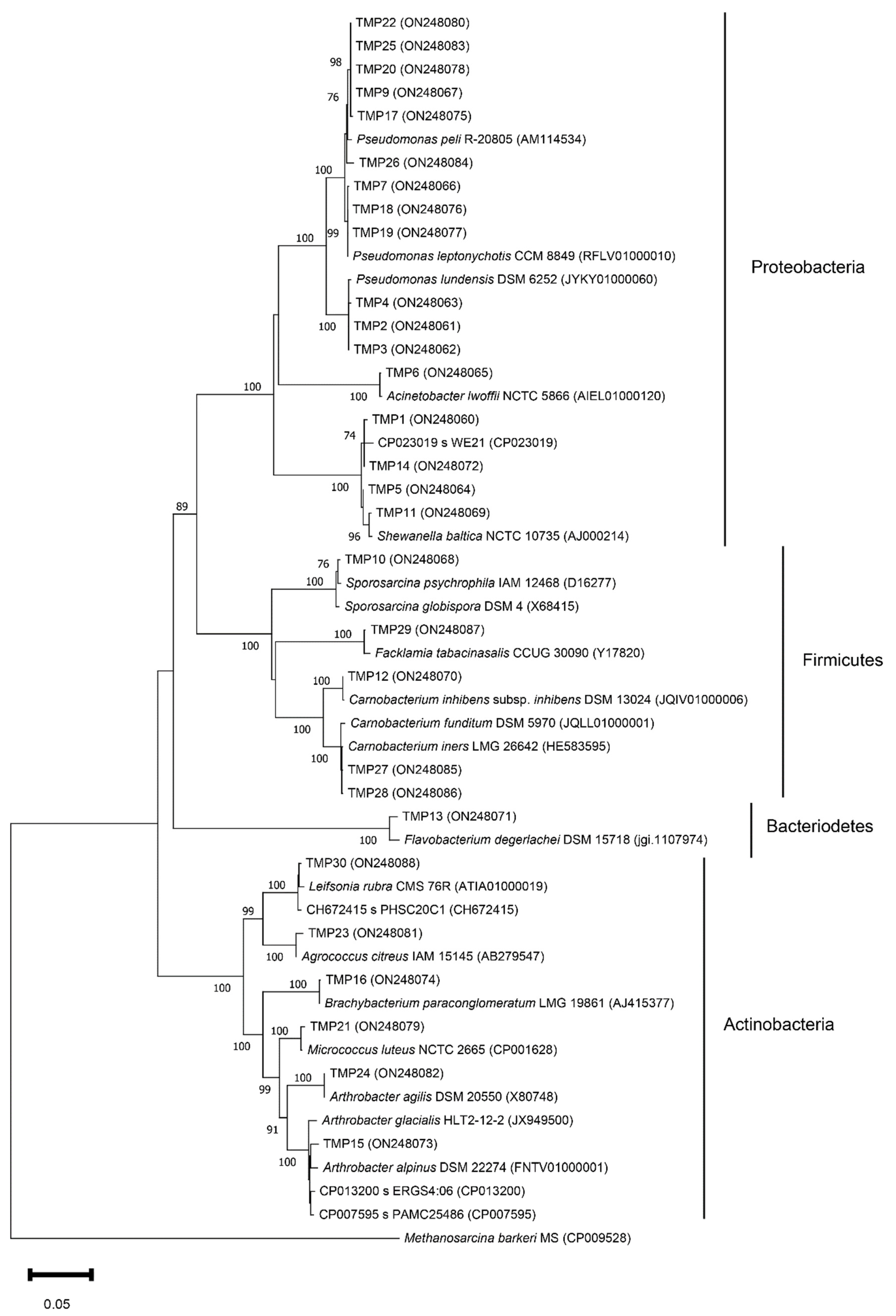 Biology 11 01143 g003