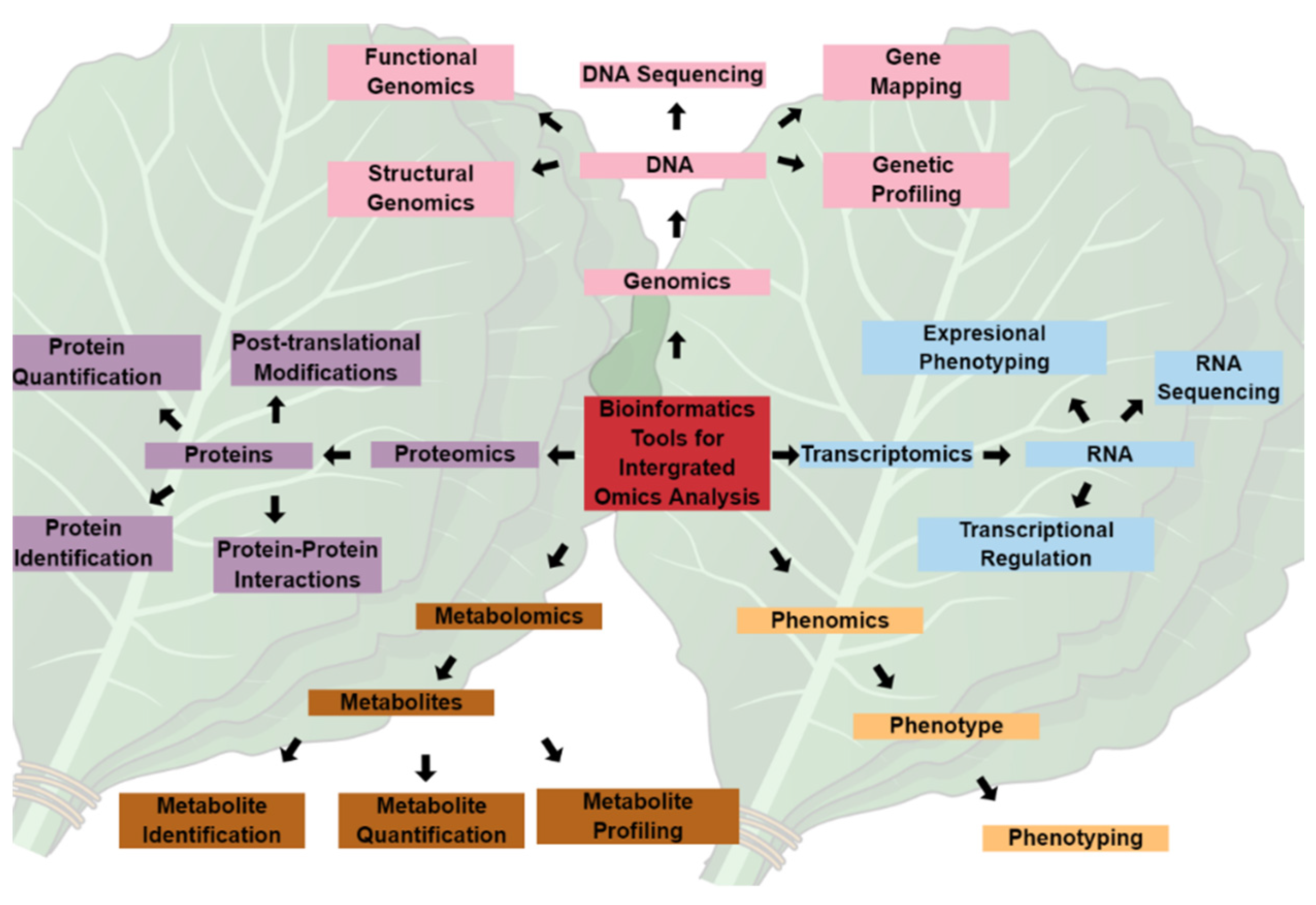 Biology 11 01156 g001