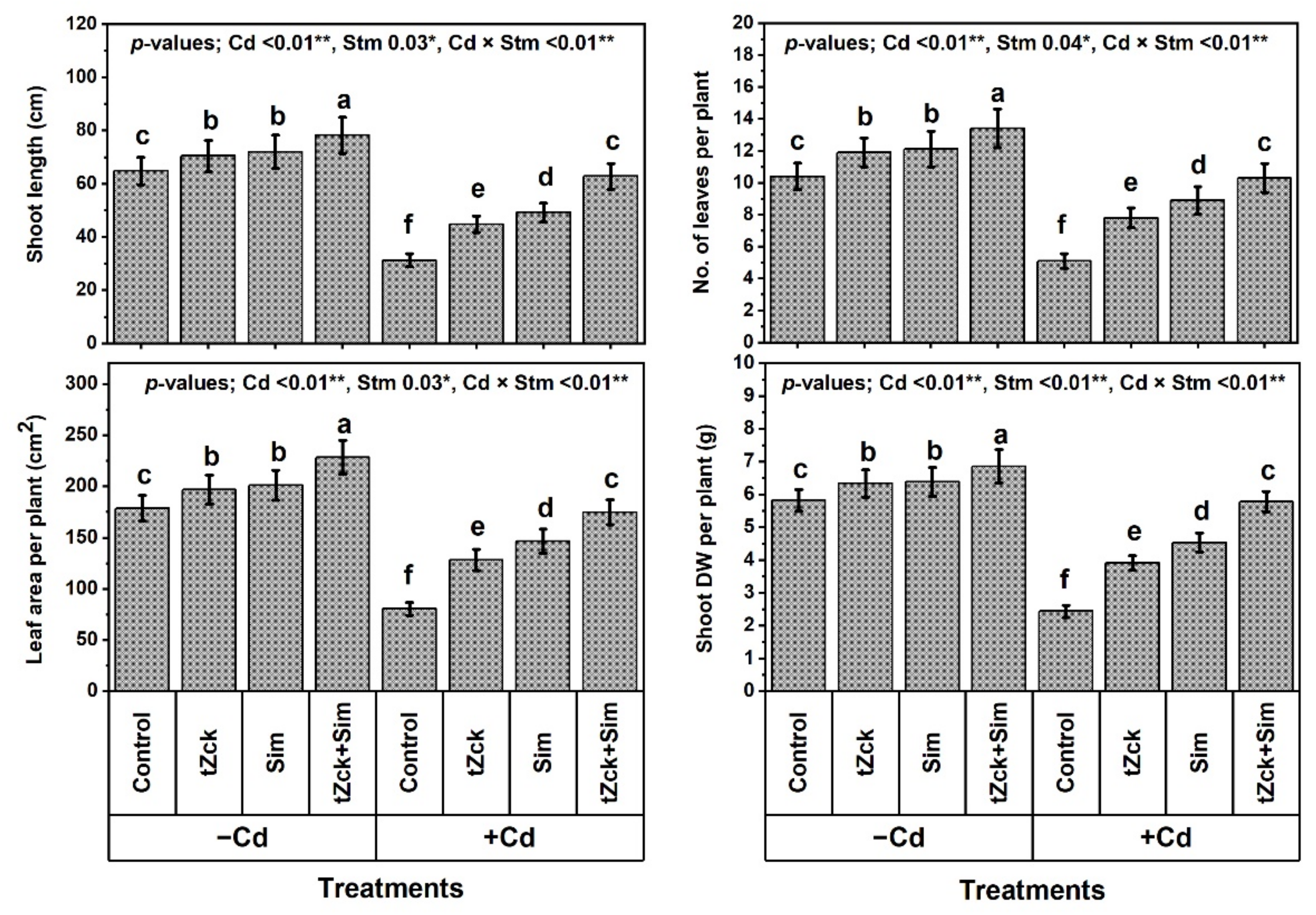 Biology 11 01173 g001