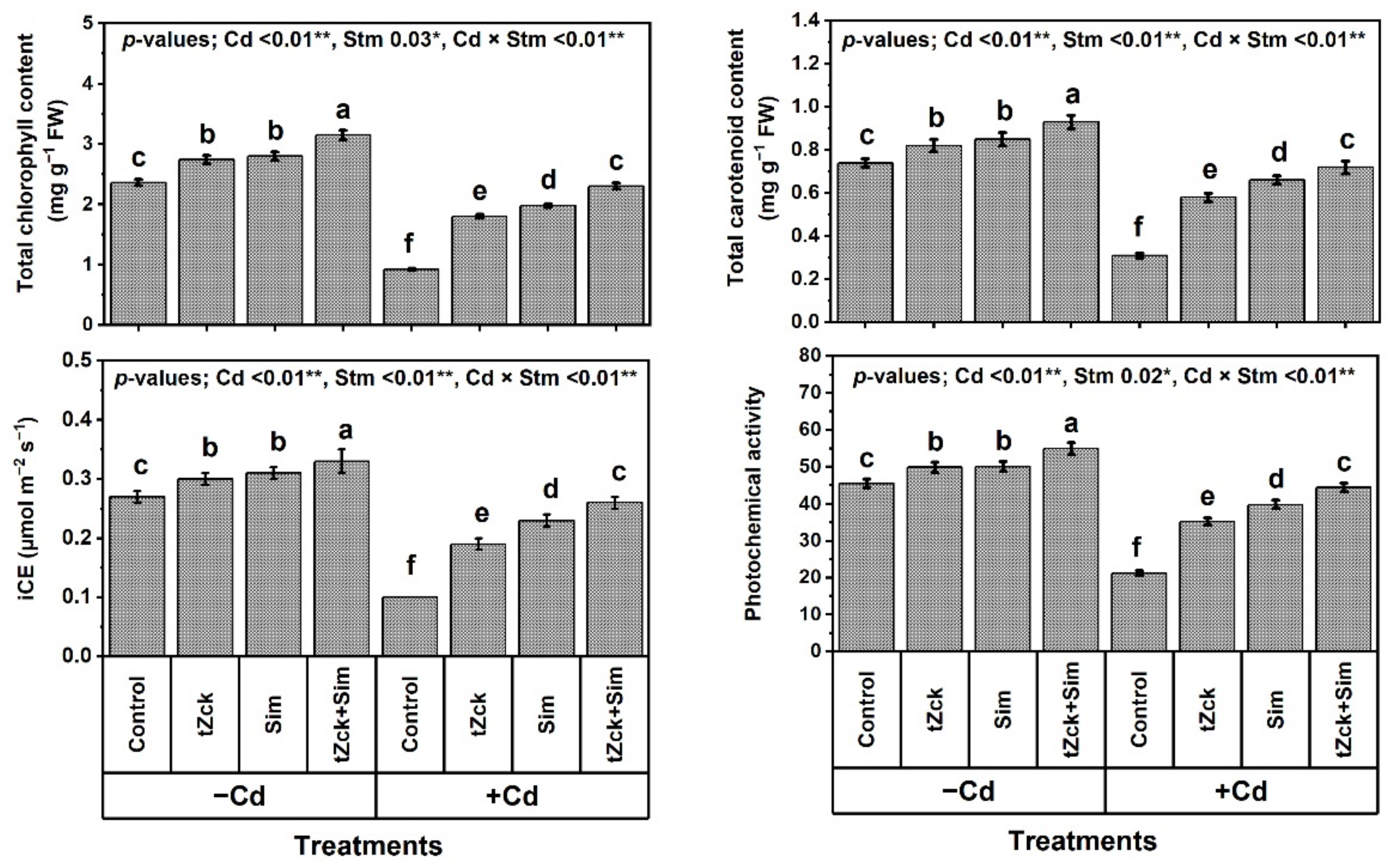 Biology 11 01173 g003