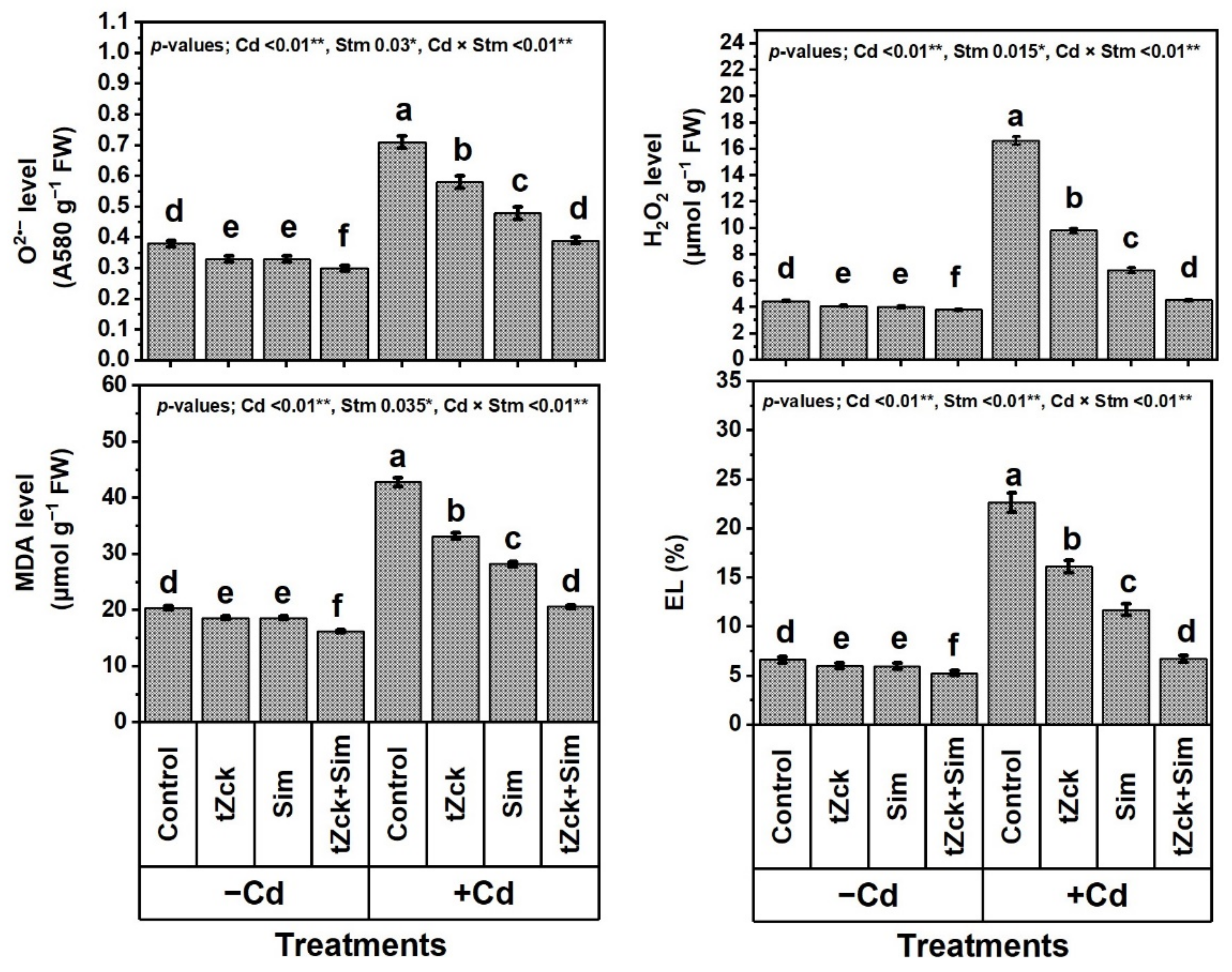 Biology 11 01173 g004
