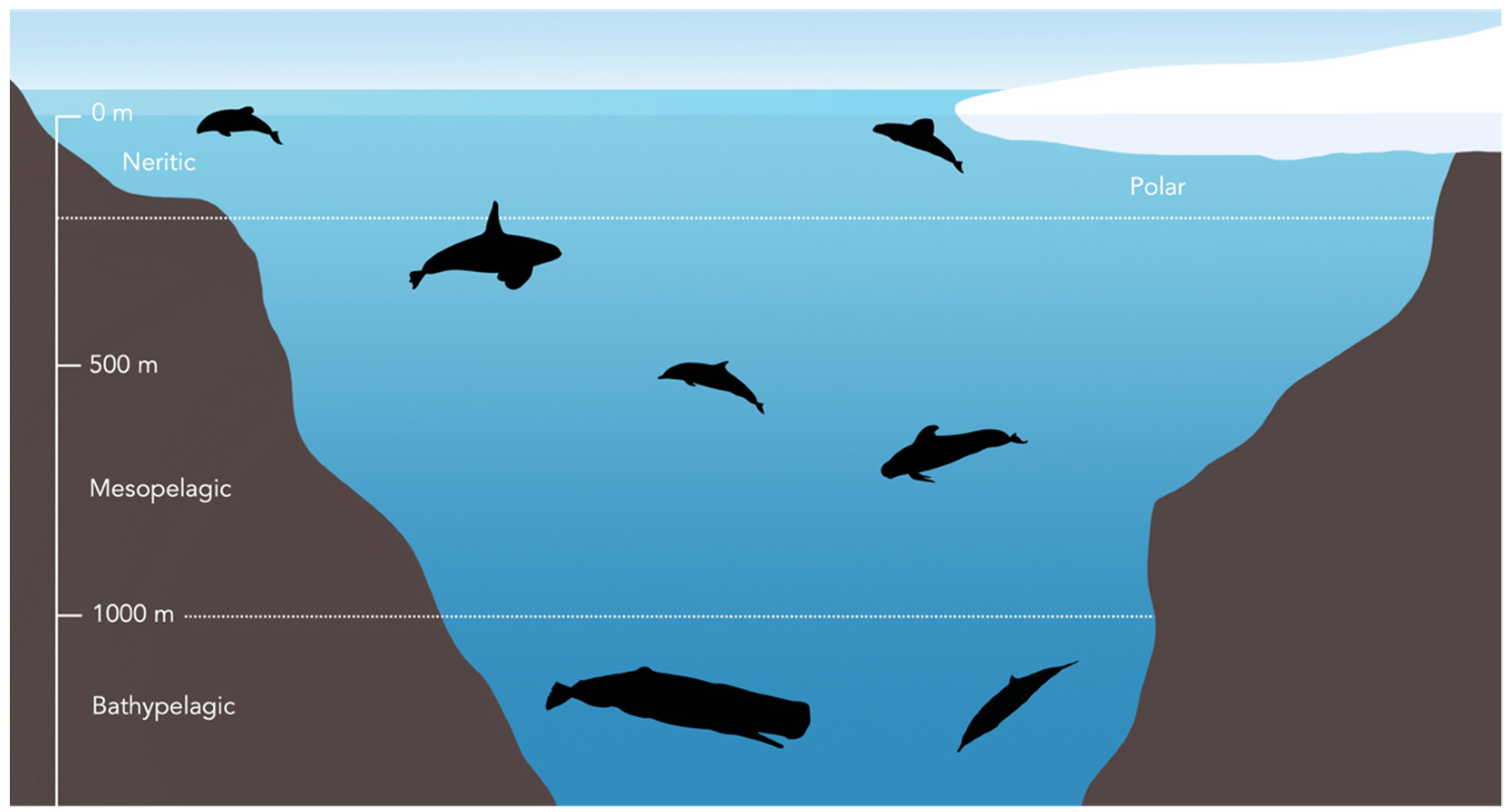Biology 11 01179 g002 Biology 11 01179 g002