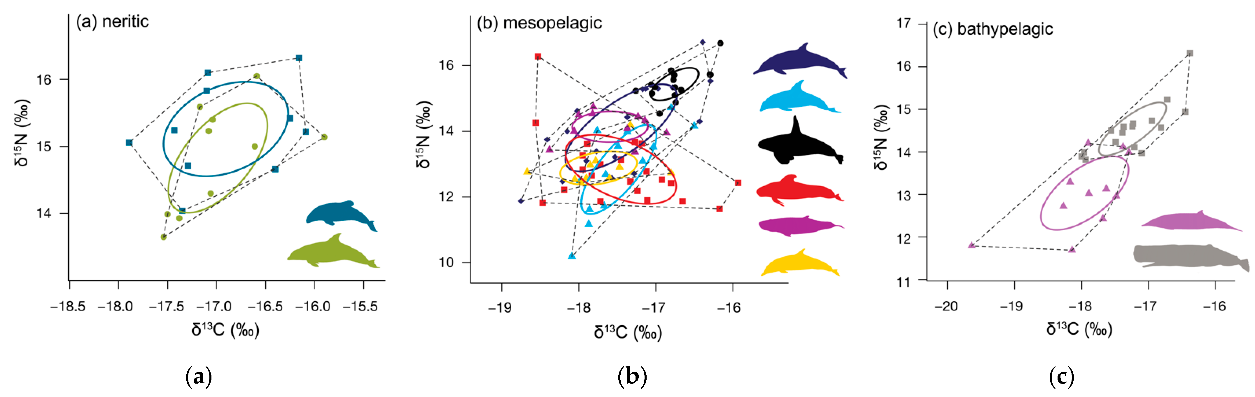 Biology 11 01179 g004 Biology 11 01179 g004