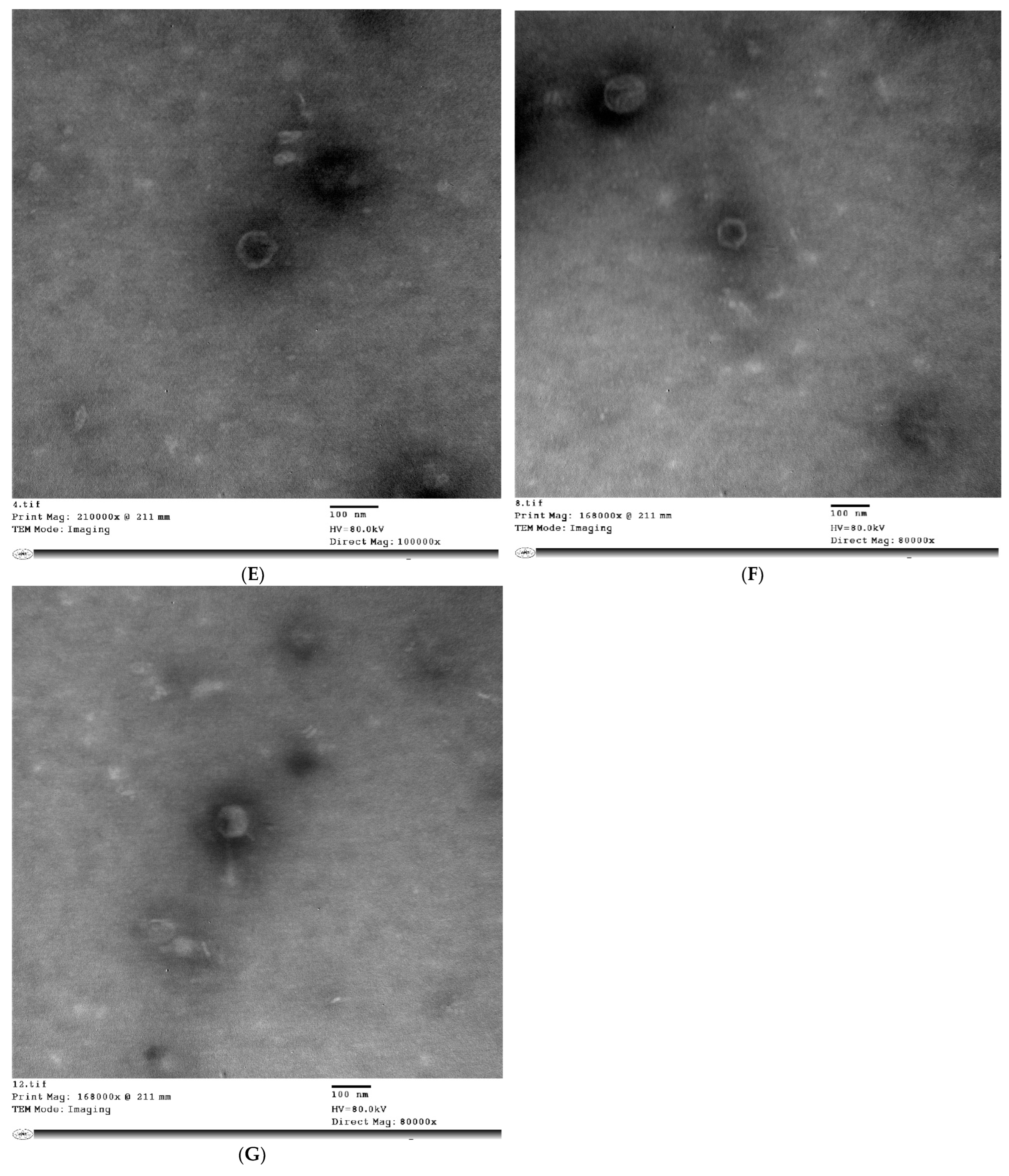 Biology 11 01180 g001b Biology 11 01180 g001b