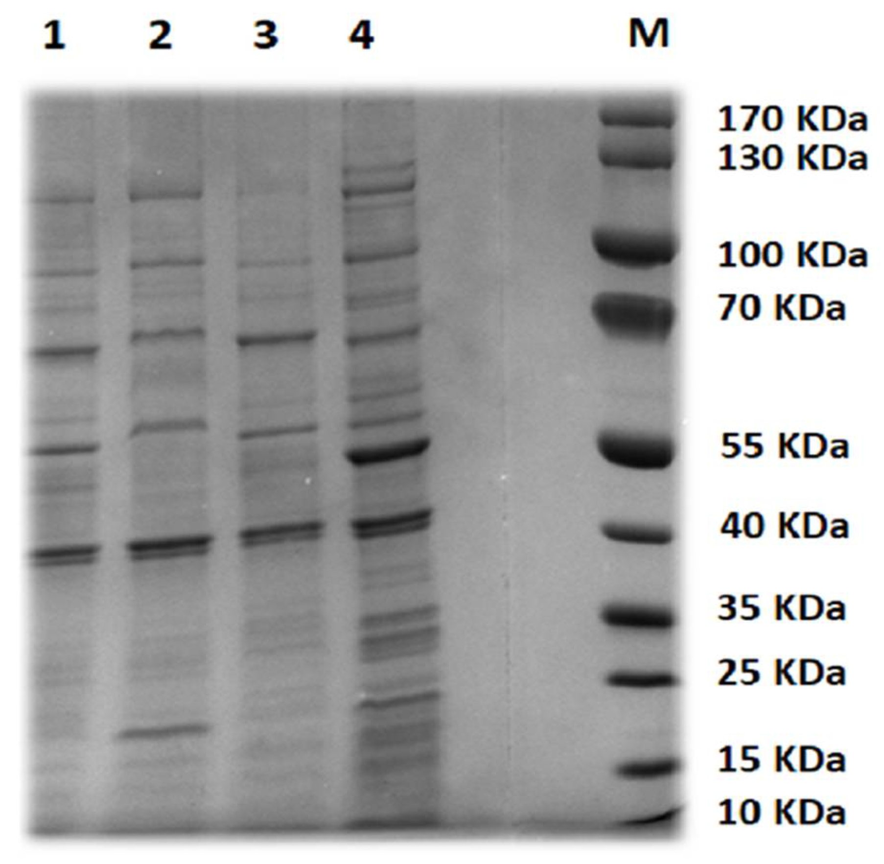 Biology 11 01180 g002 Biology 11 01180 g002