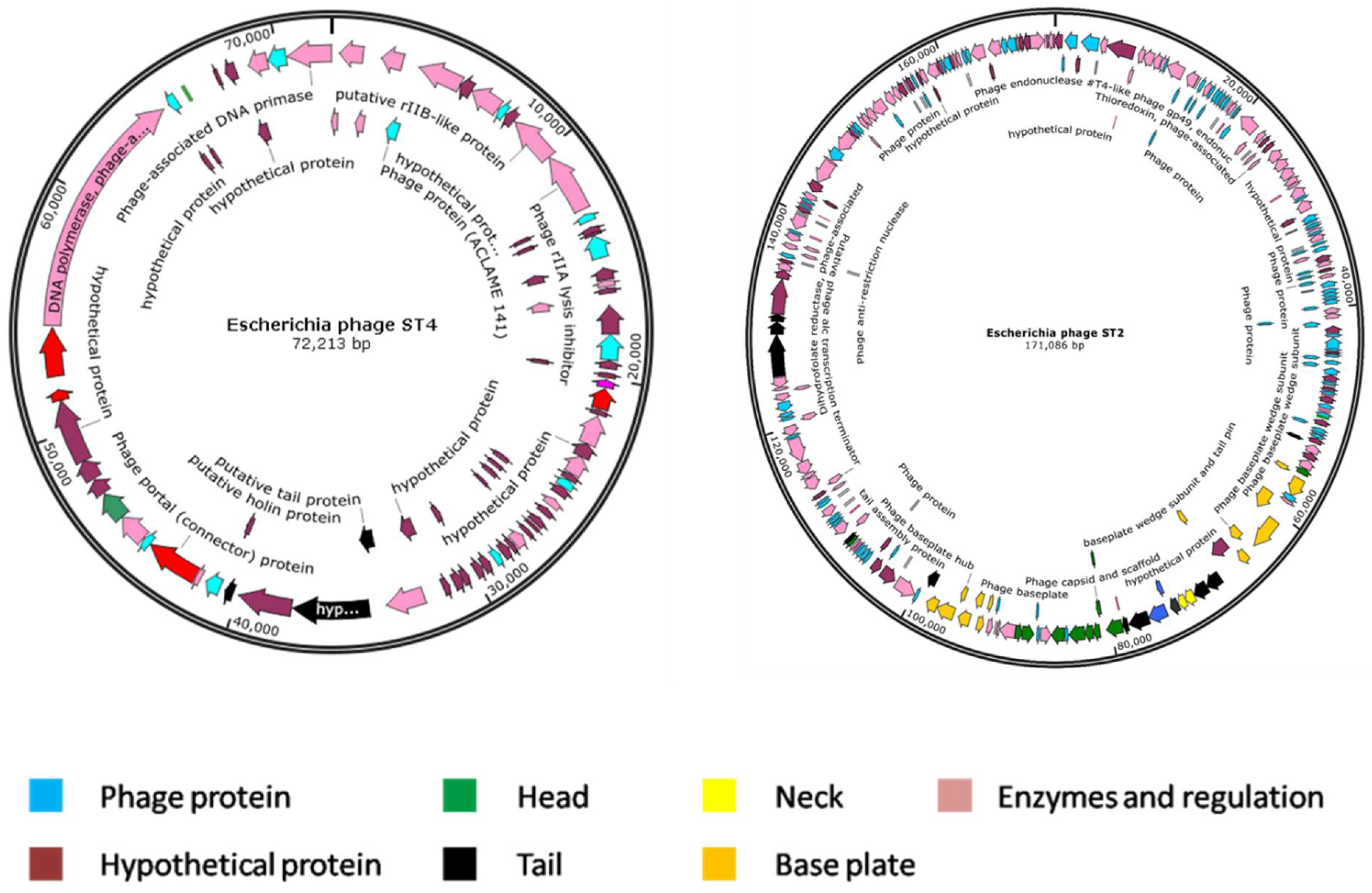 Biology 11 01180 g009 Biology 11 01180 g009