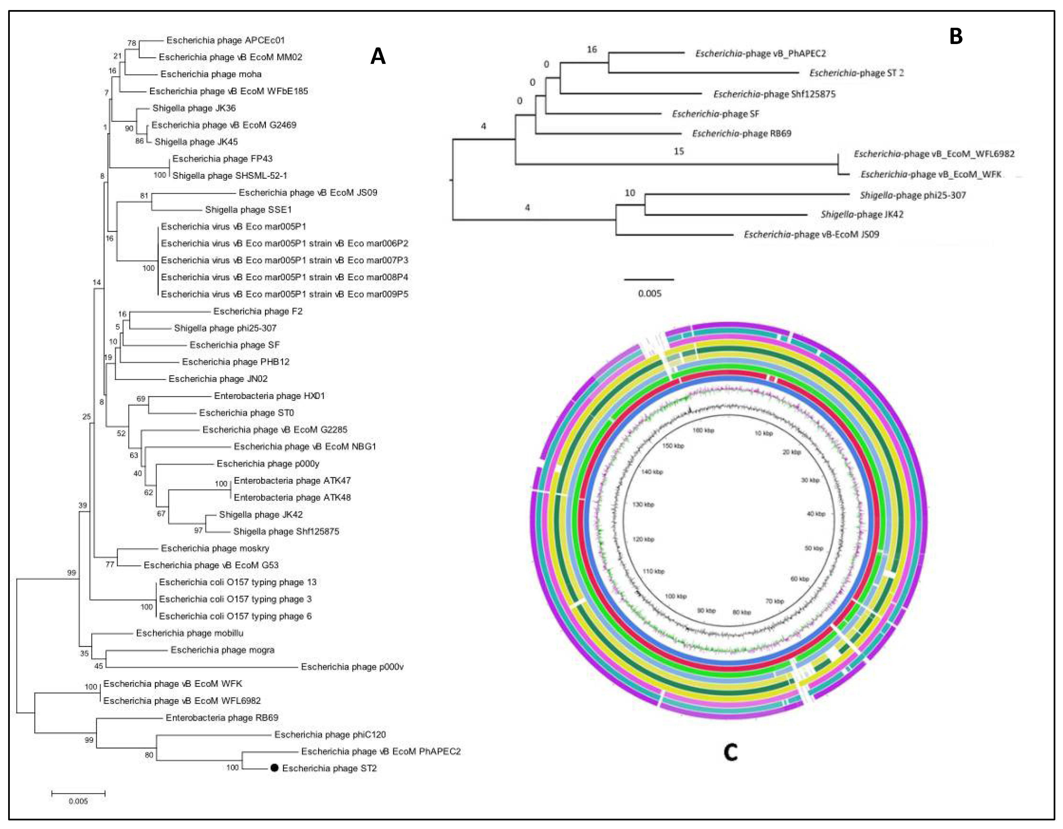 Biology 11 01180 g010 Biology 11 01180 g010