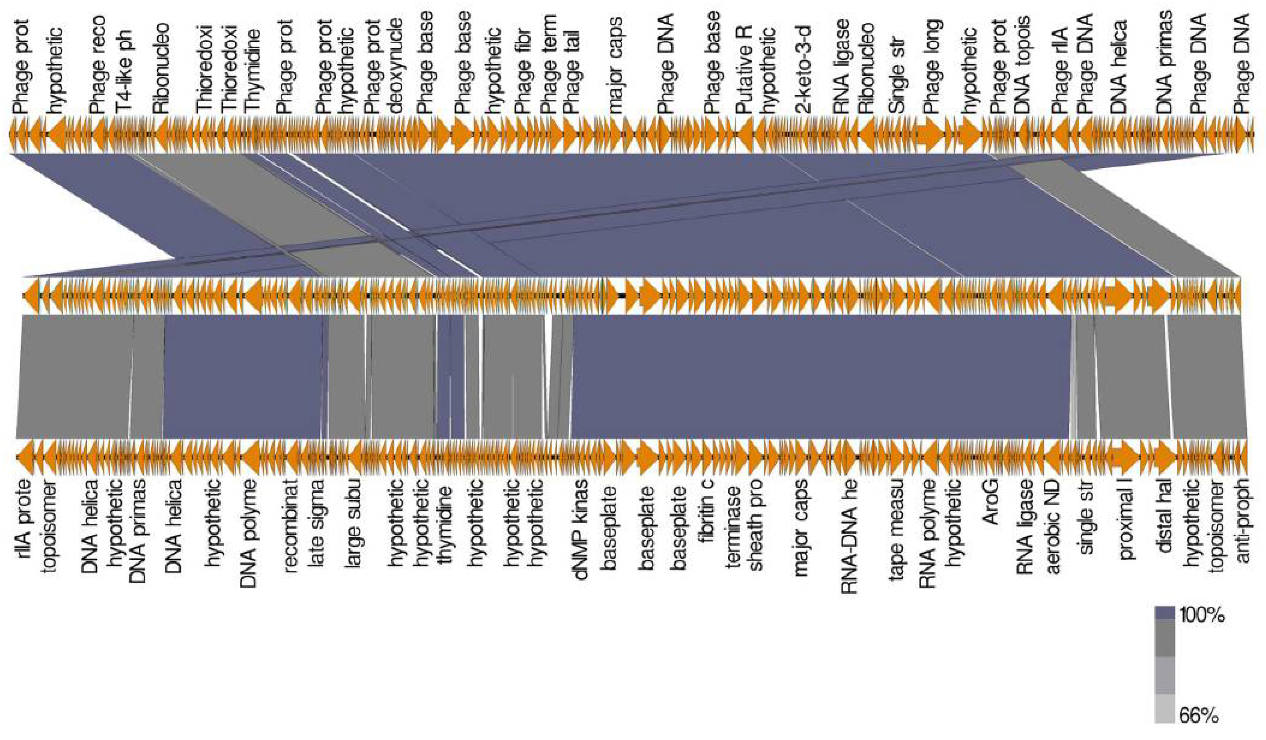 Biology 11 01180 g012 Biology 11 01180 g012