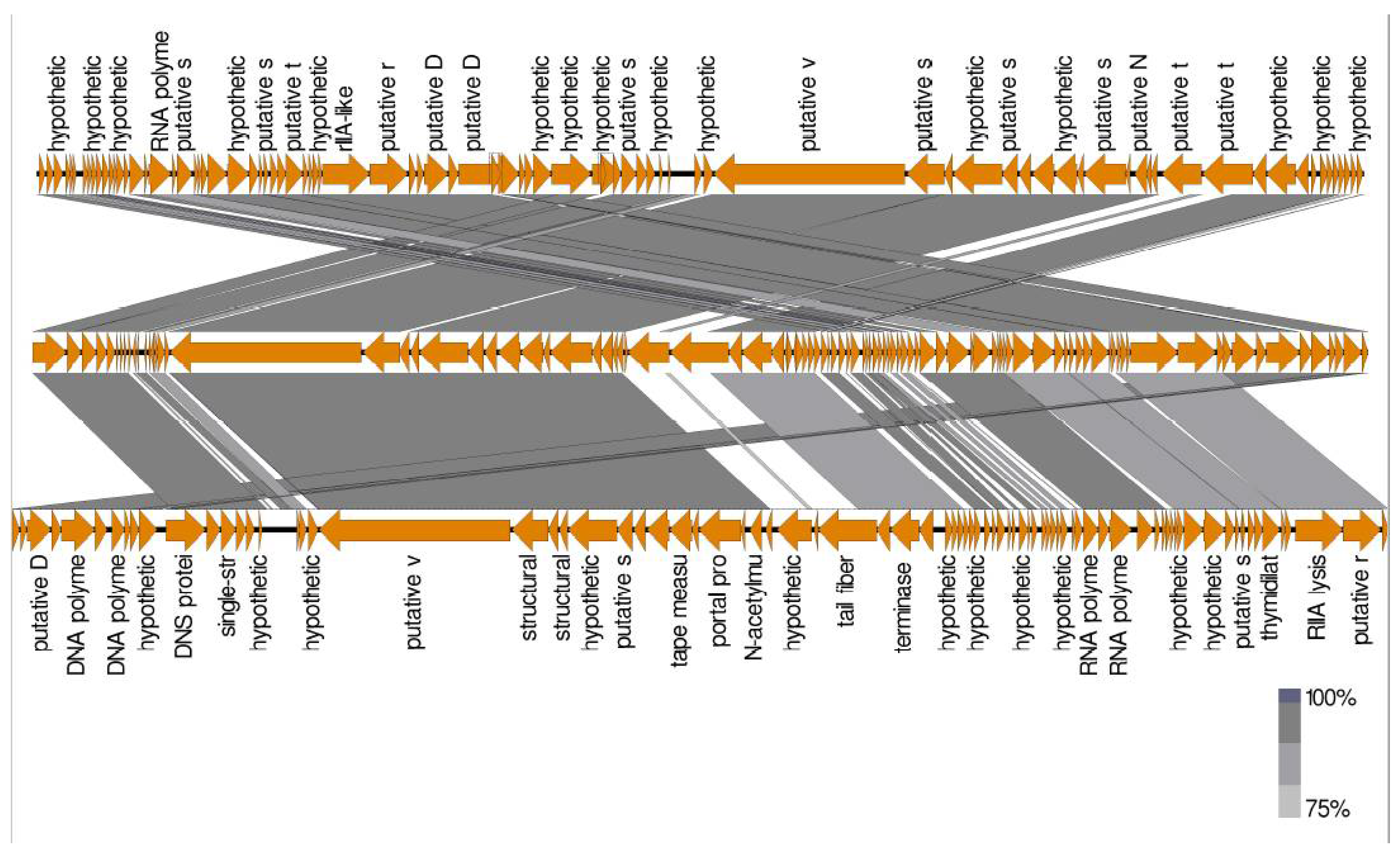 Biology 11 01180 g013 Biology 11 01180 g013