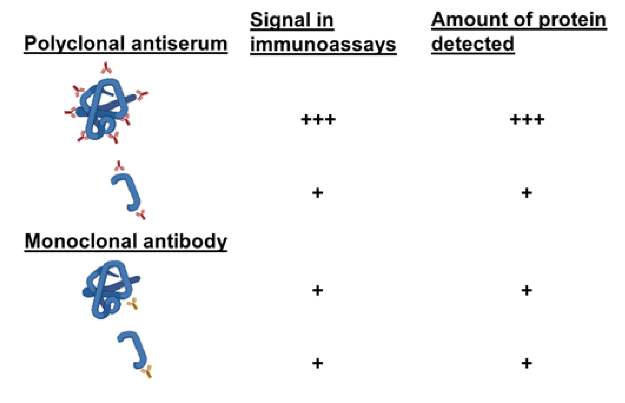 Biology 11 01184 g005 Biology 11 01184 g005