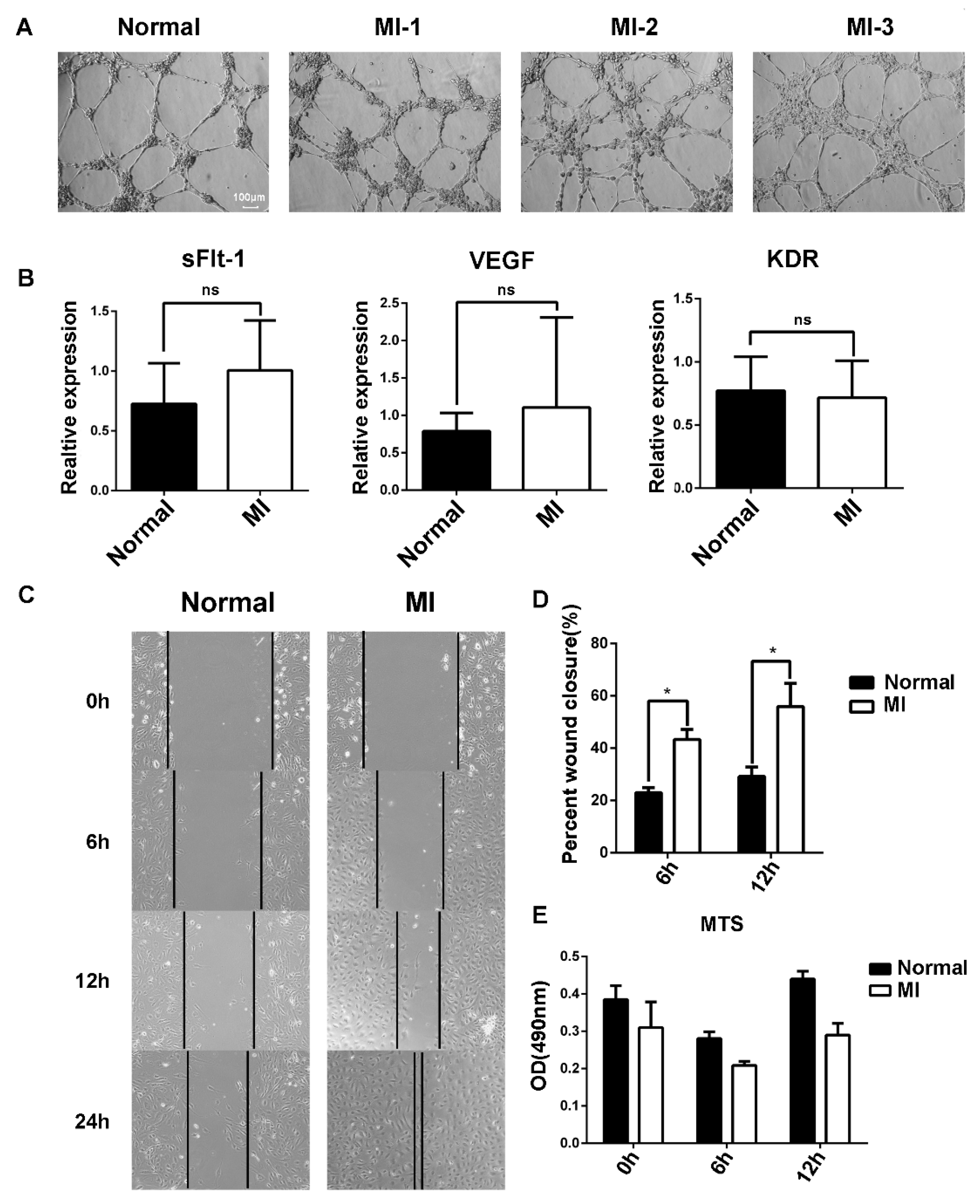 Biology 11 01194 g003