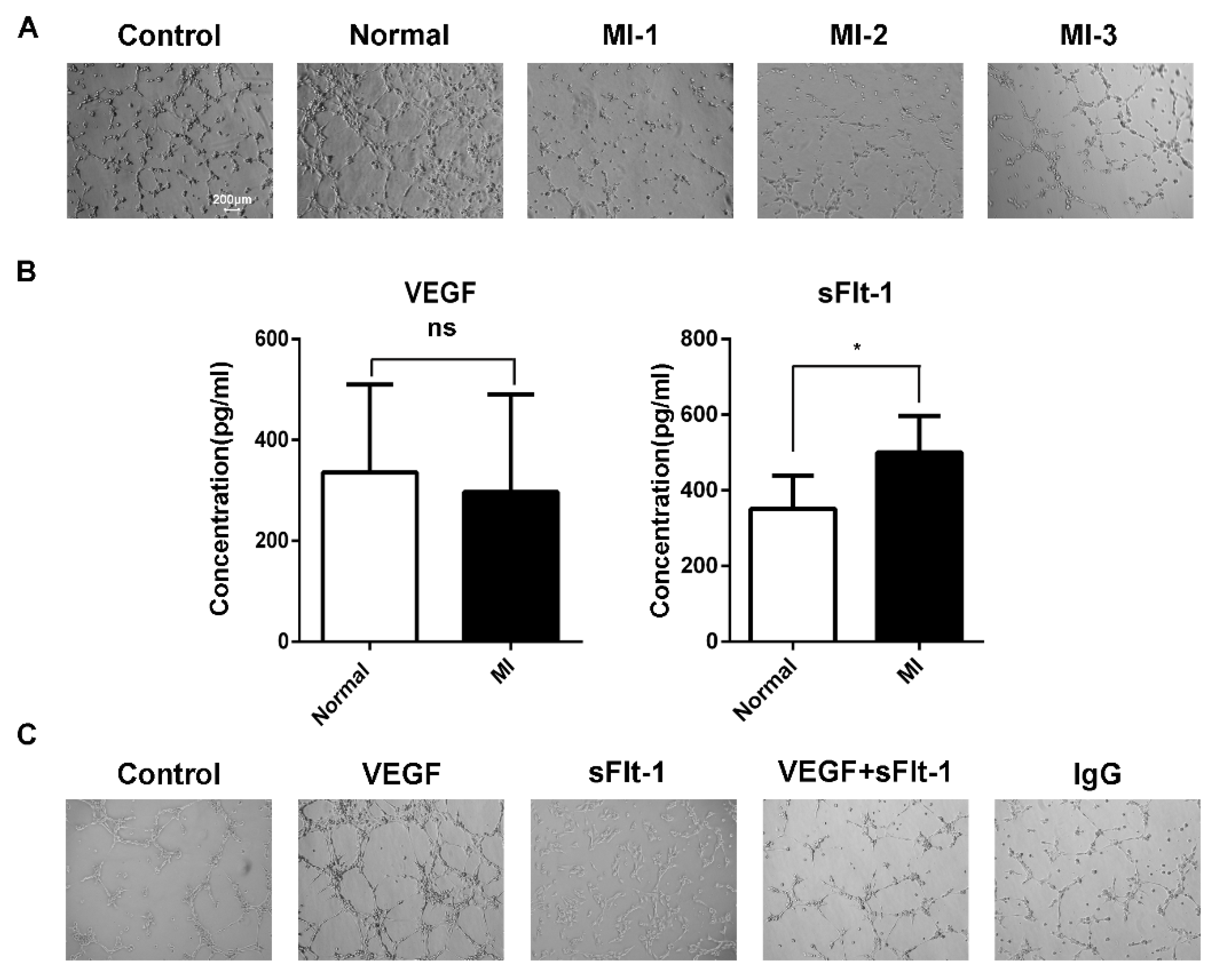 Biology 11 01194 g004