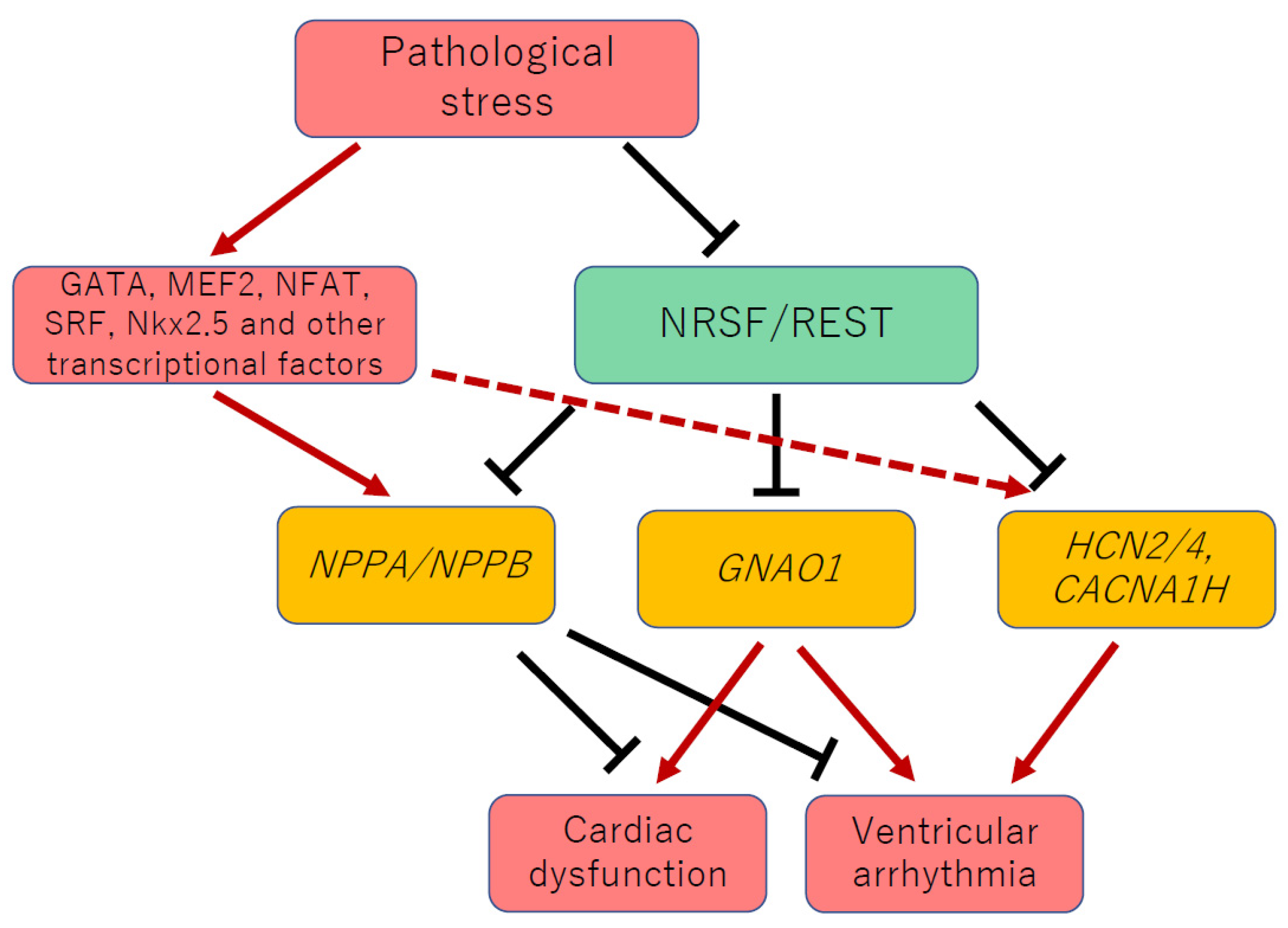 Biology 11 01197 g001
