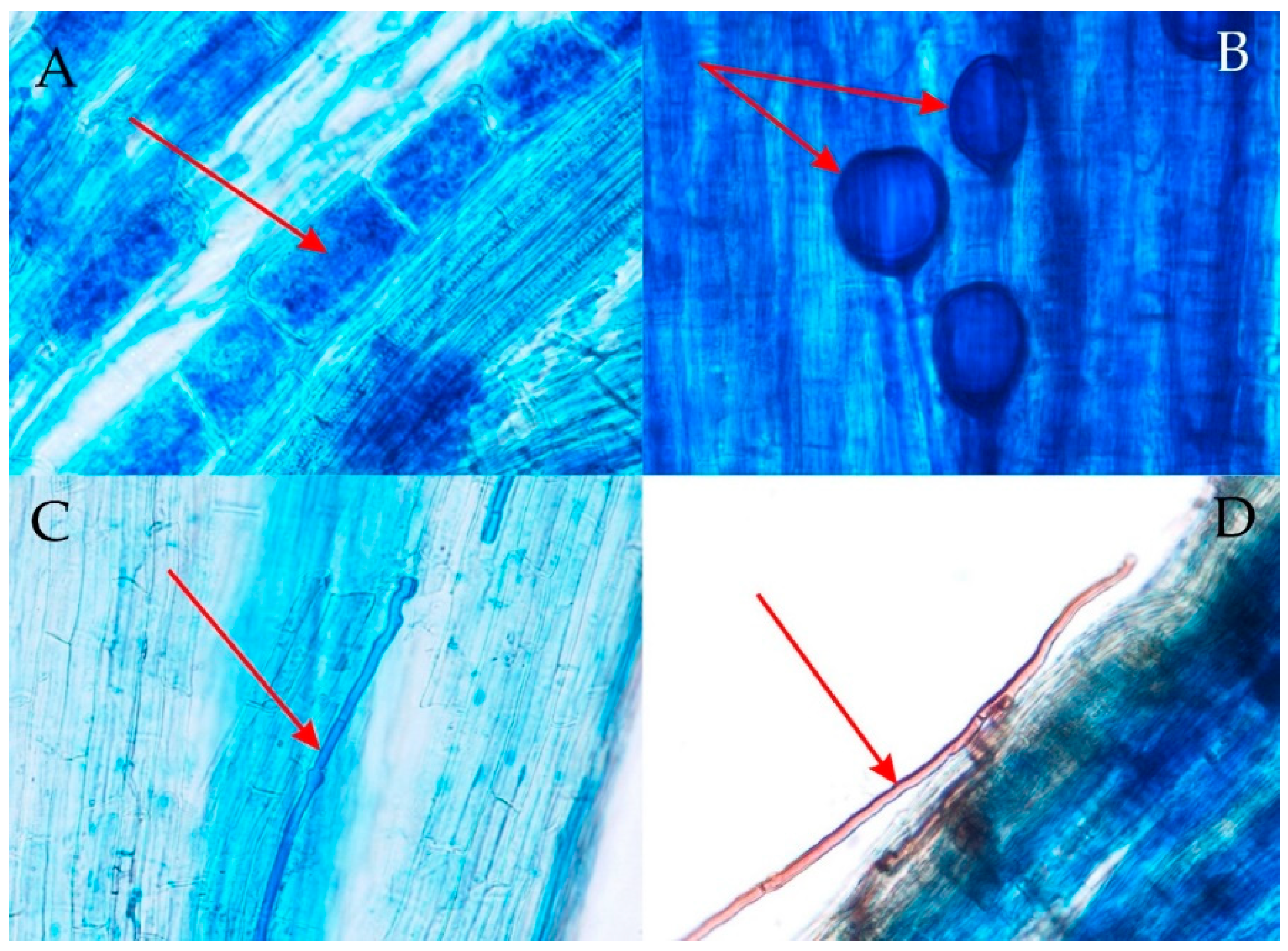 Biology 11 01198 g001