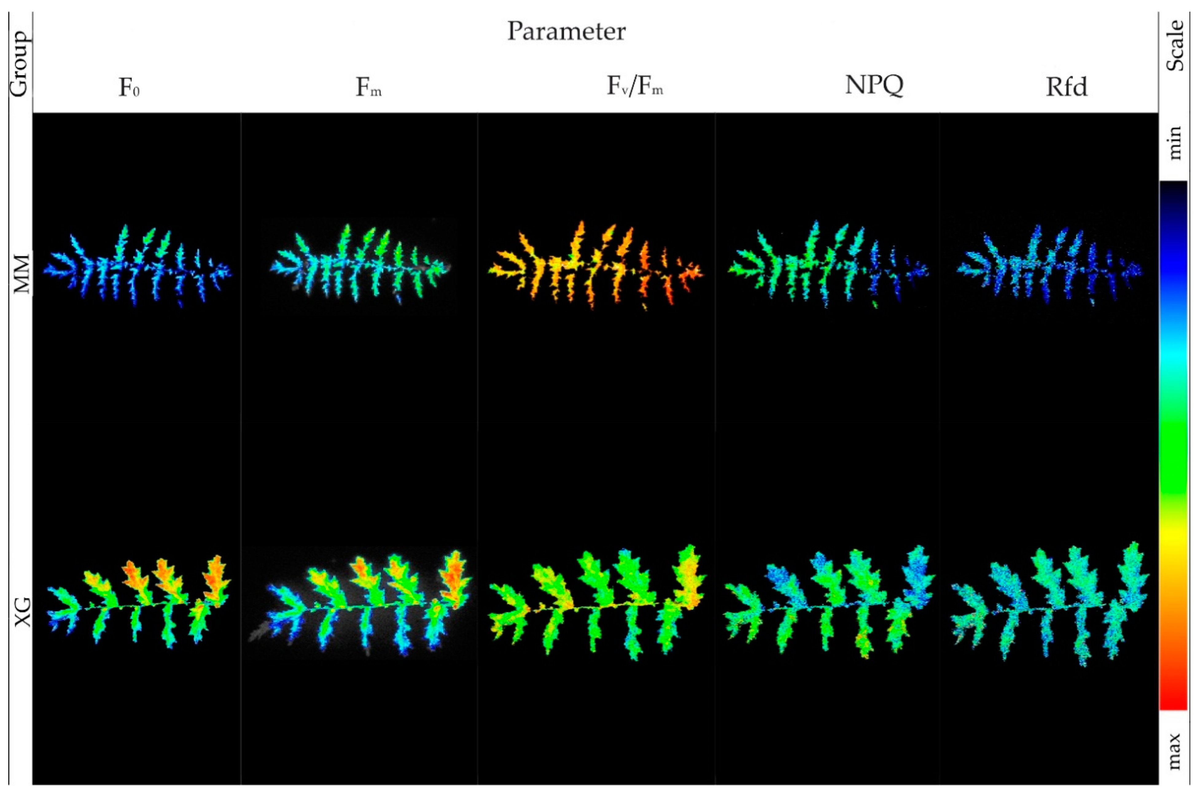 Biology 11 01198 g002