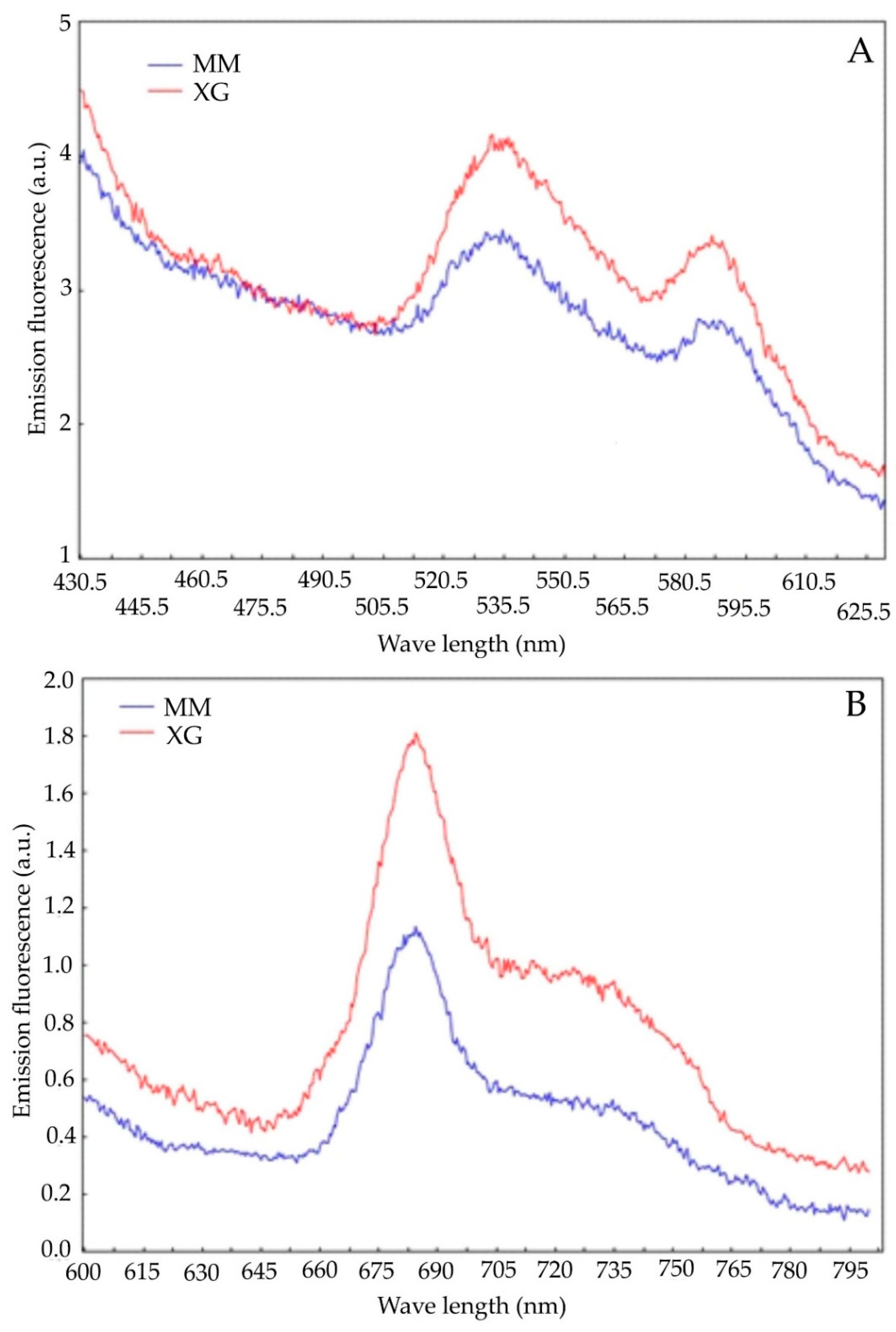 Biology 11 01198 g004