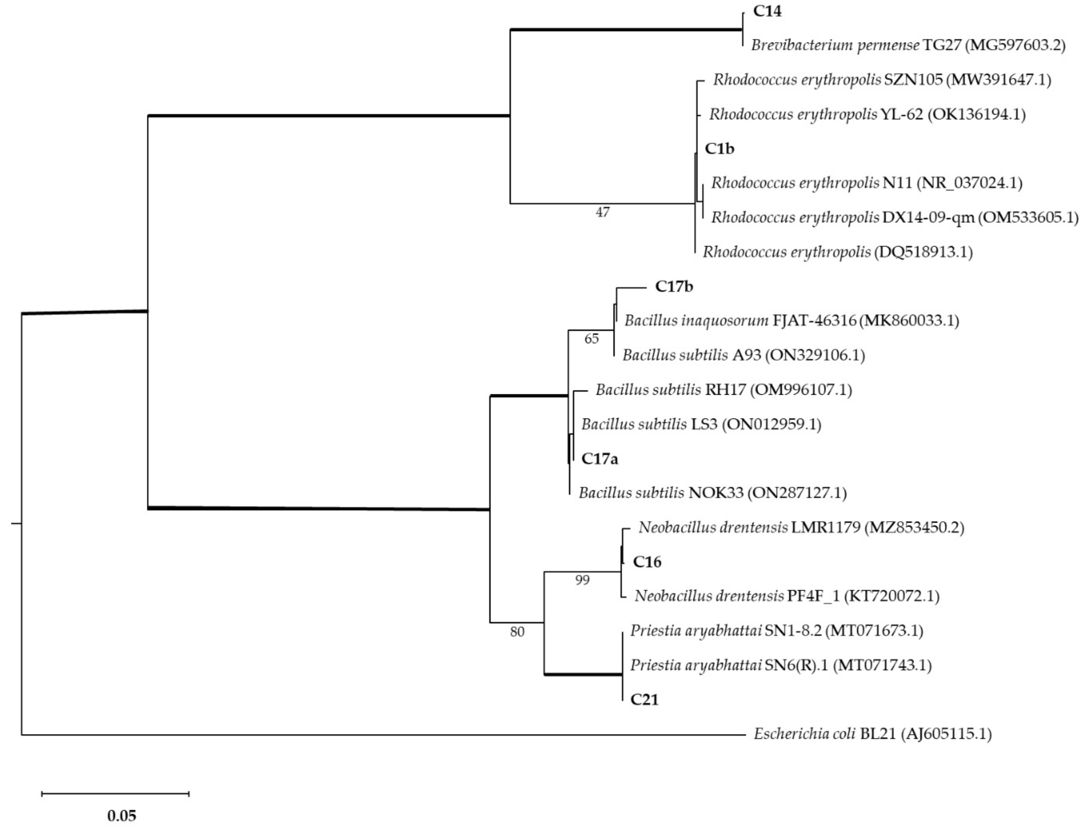 Biology 11 01204 g005