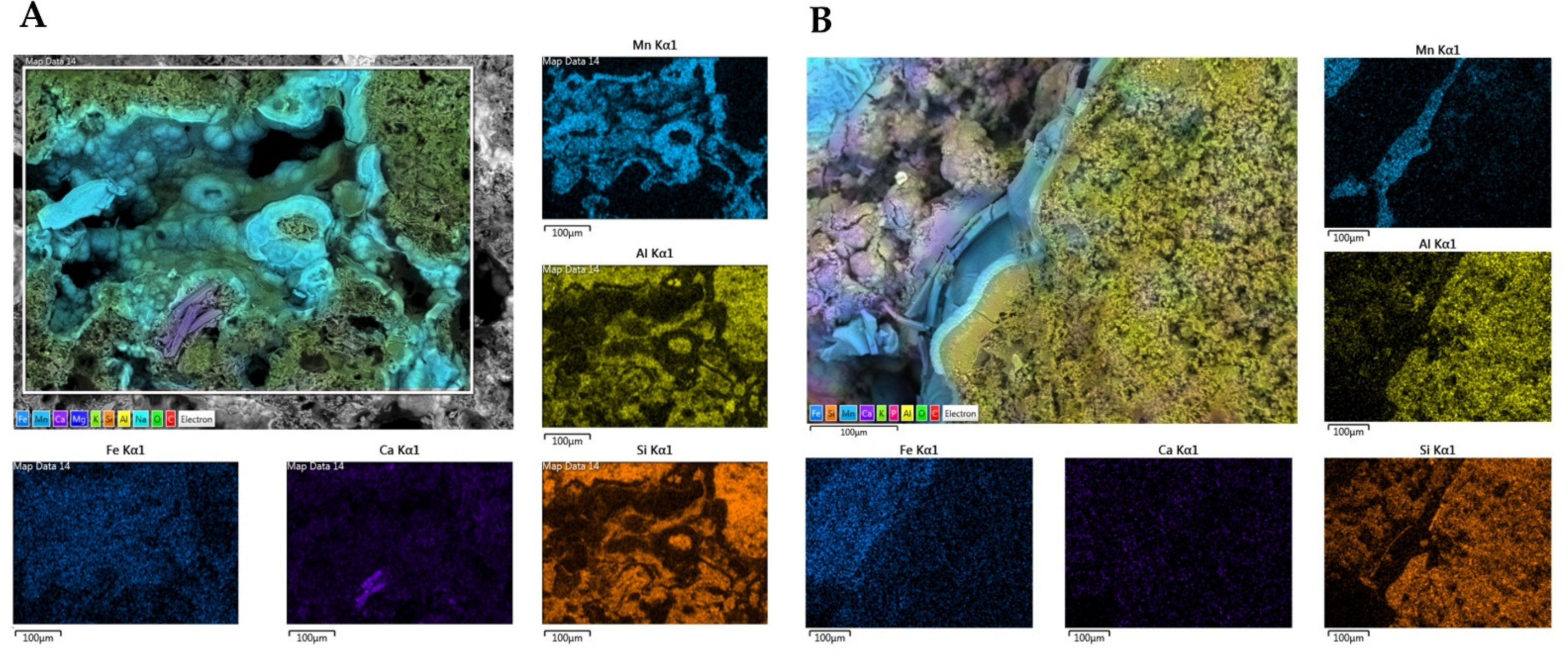 Biology 11 01204 g008