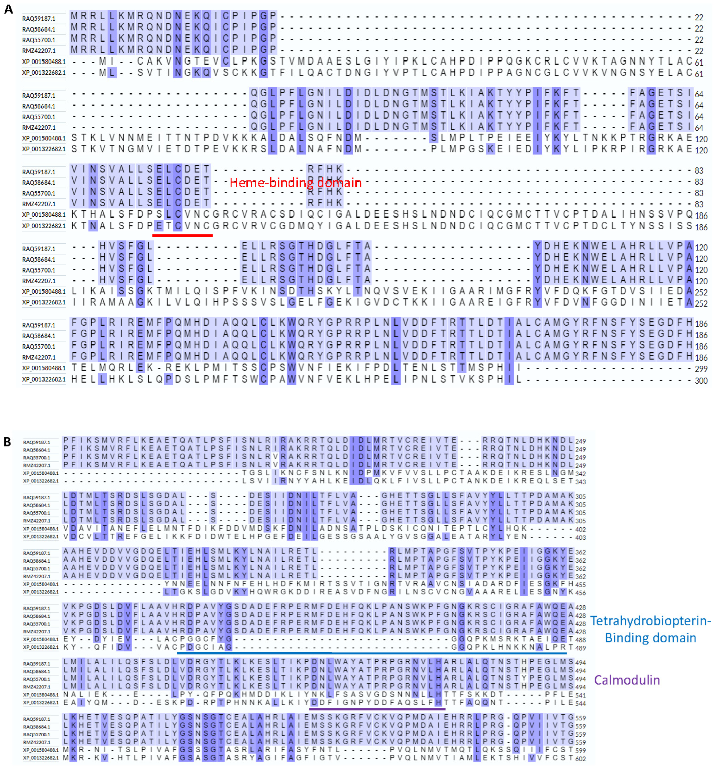 Biology 11 01210 g002a Biology 11 01210 g002a