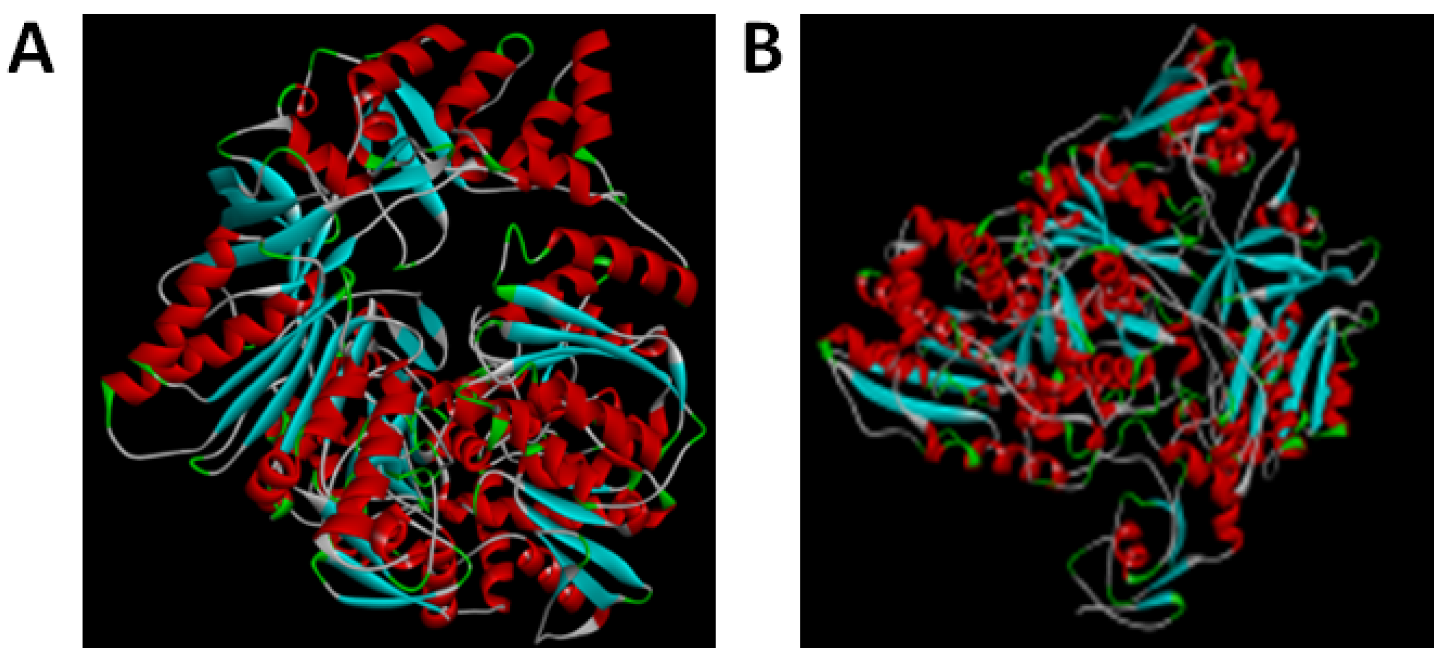 Biology 11 01210 g004 Biology 11 01210 g004