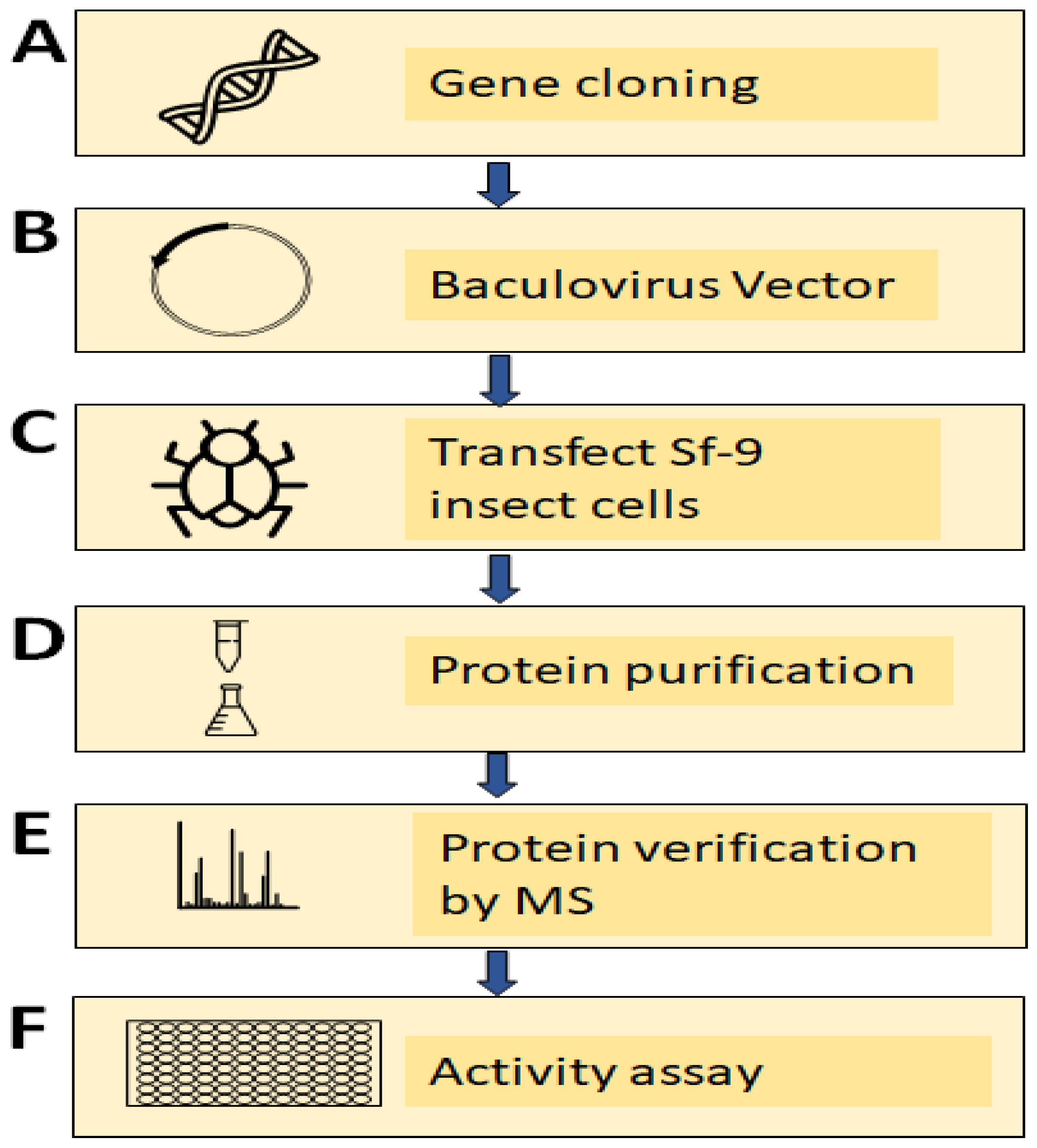 Biology 11 01210 g006 Biology 11 01210 g006