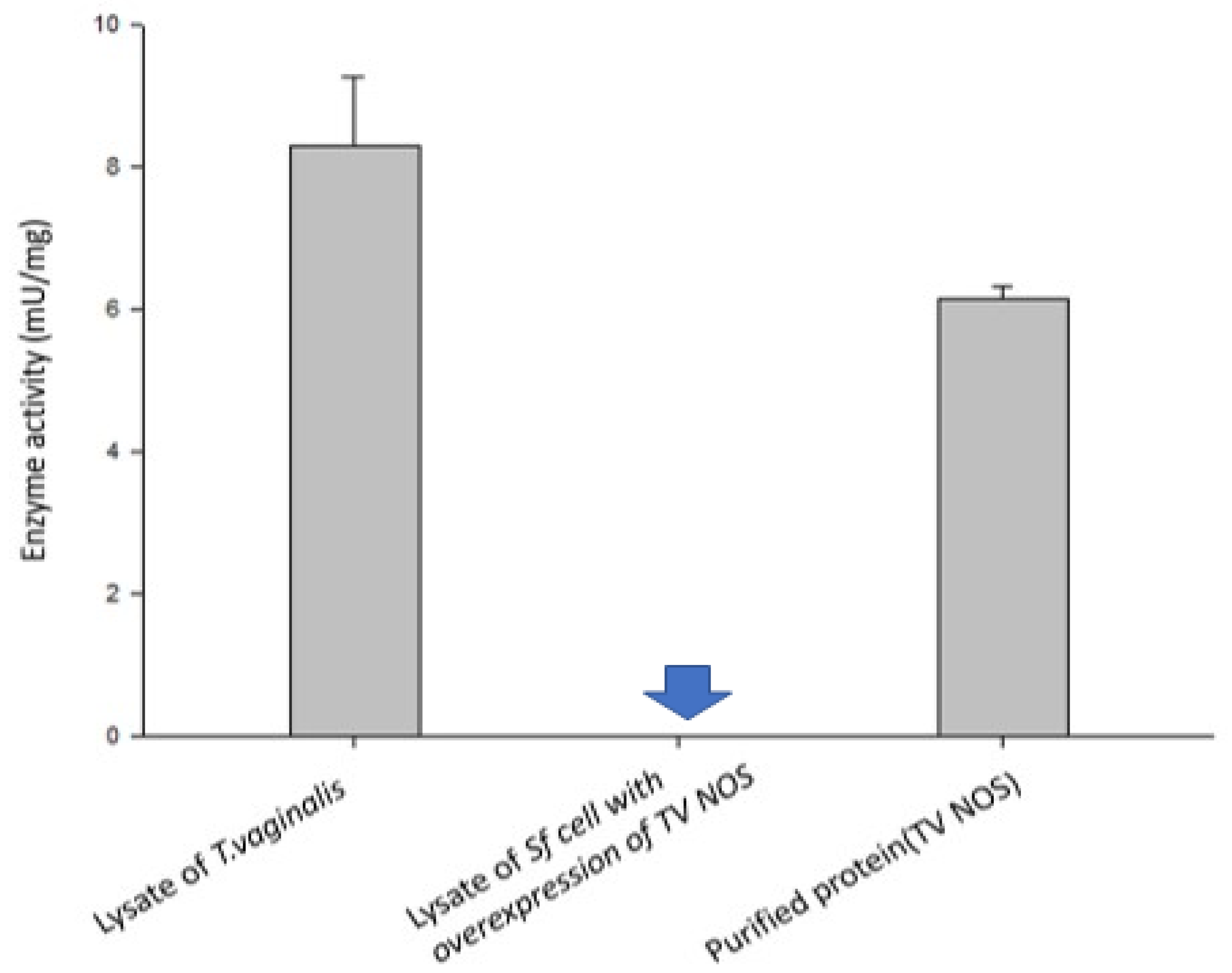 Biology 11 01210 g009 Biology 11 01210 g009