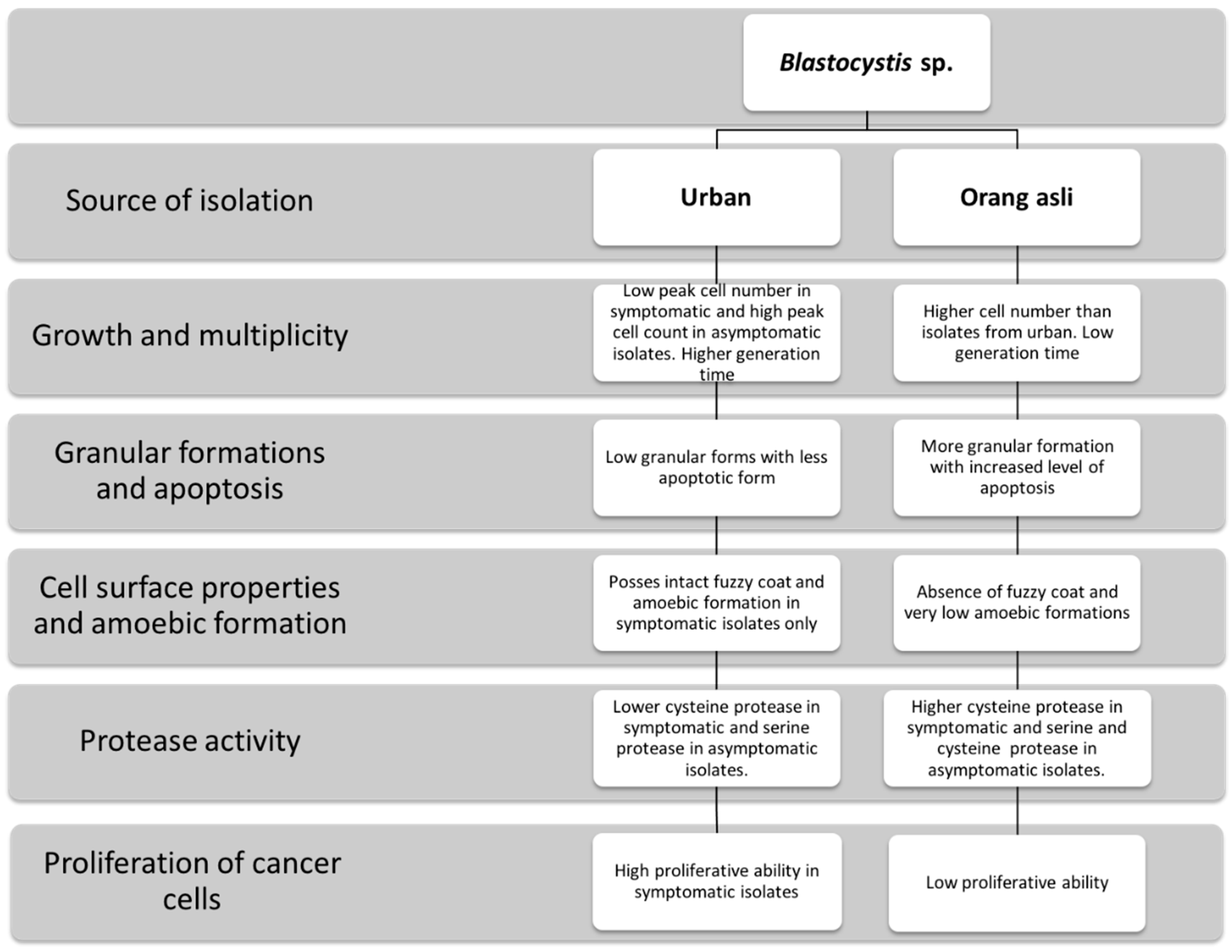 Biology 11 01211 g008 Biology 11 01211 g008
