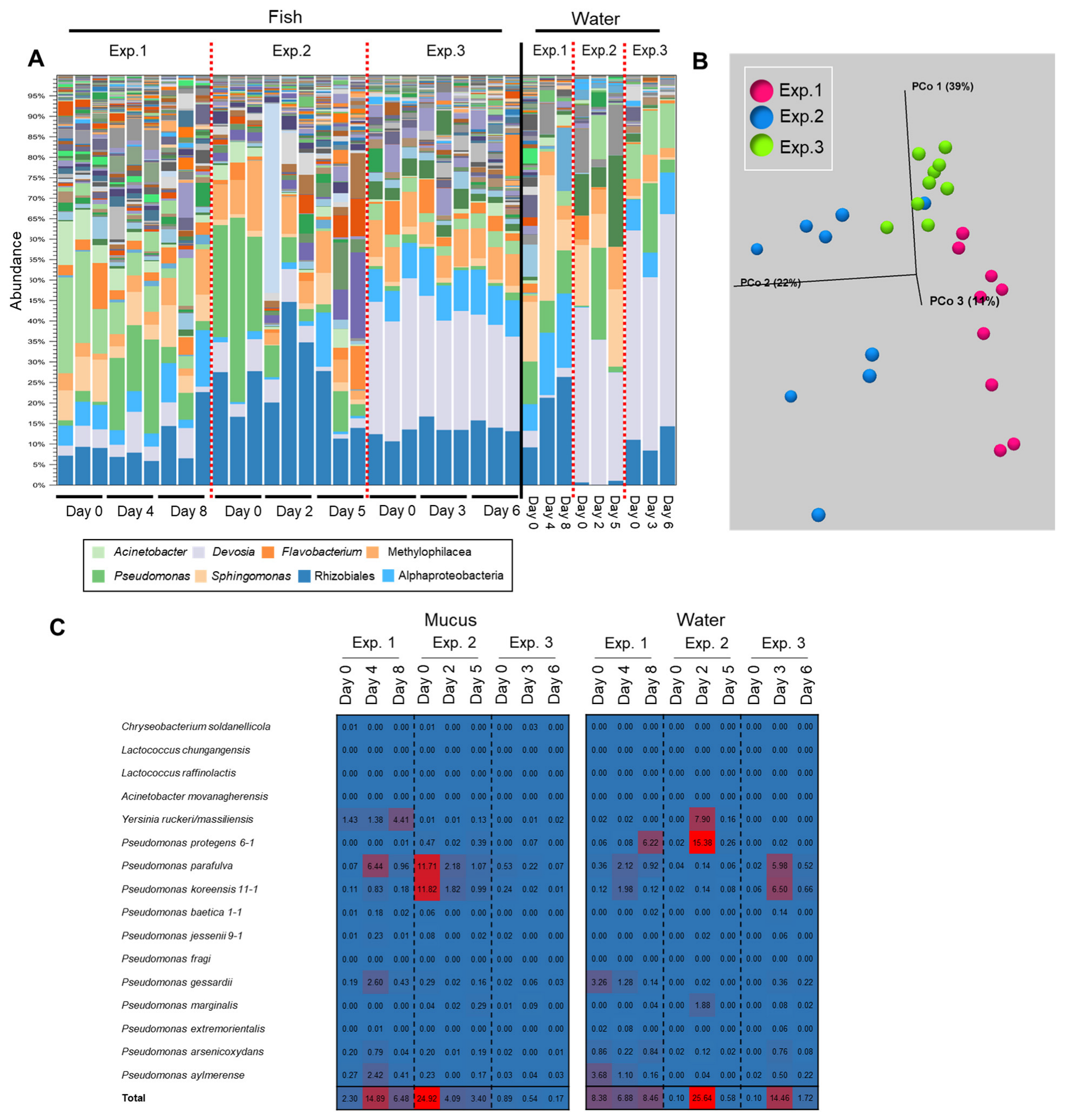 Biology 11 01249 g006