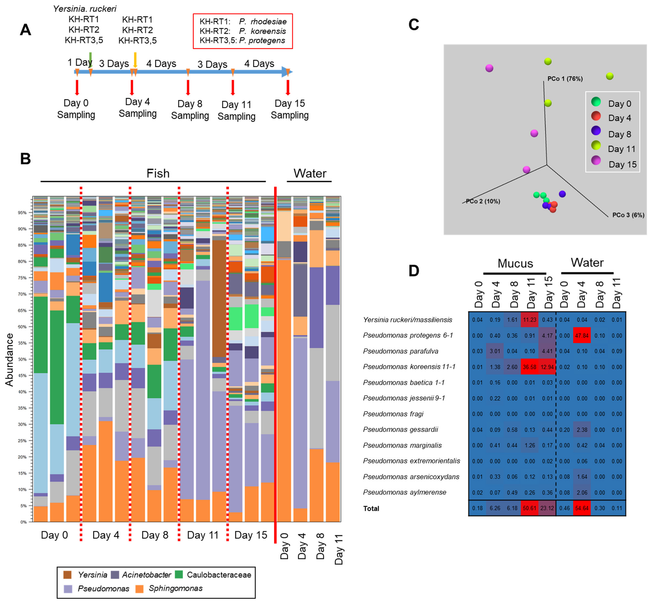 Biology 11 01249 g007