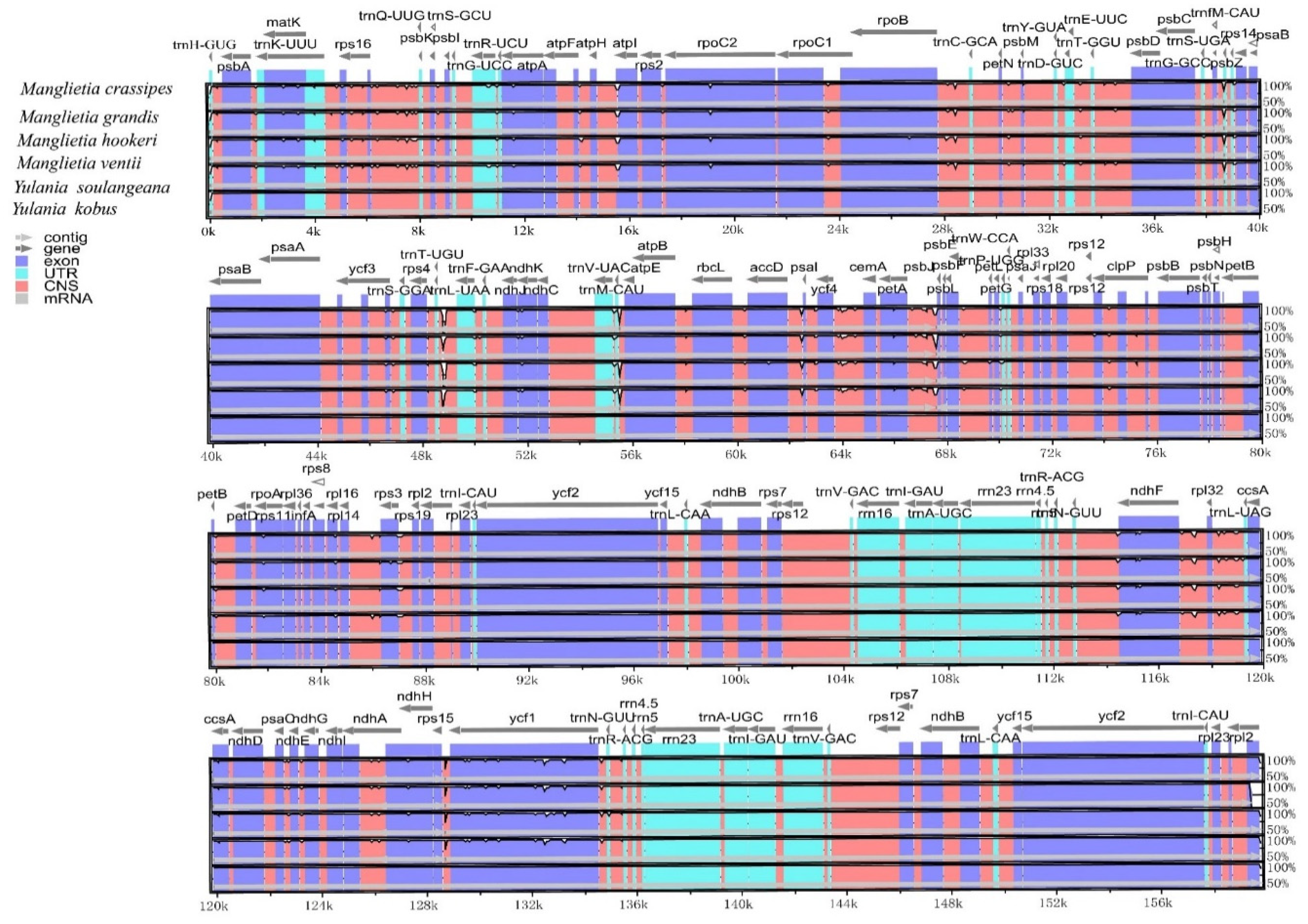Biology 11 01279 g002
