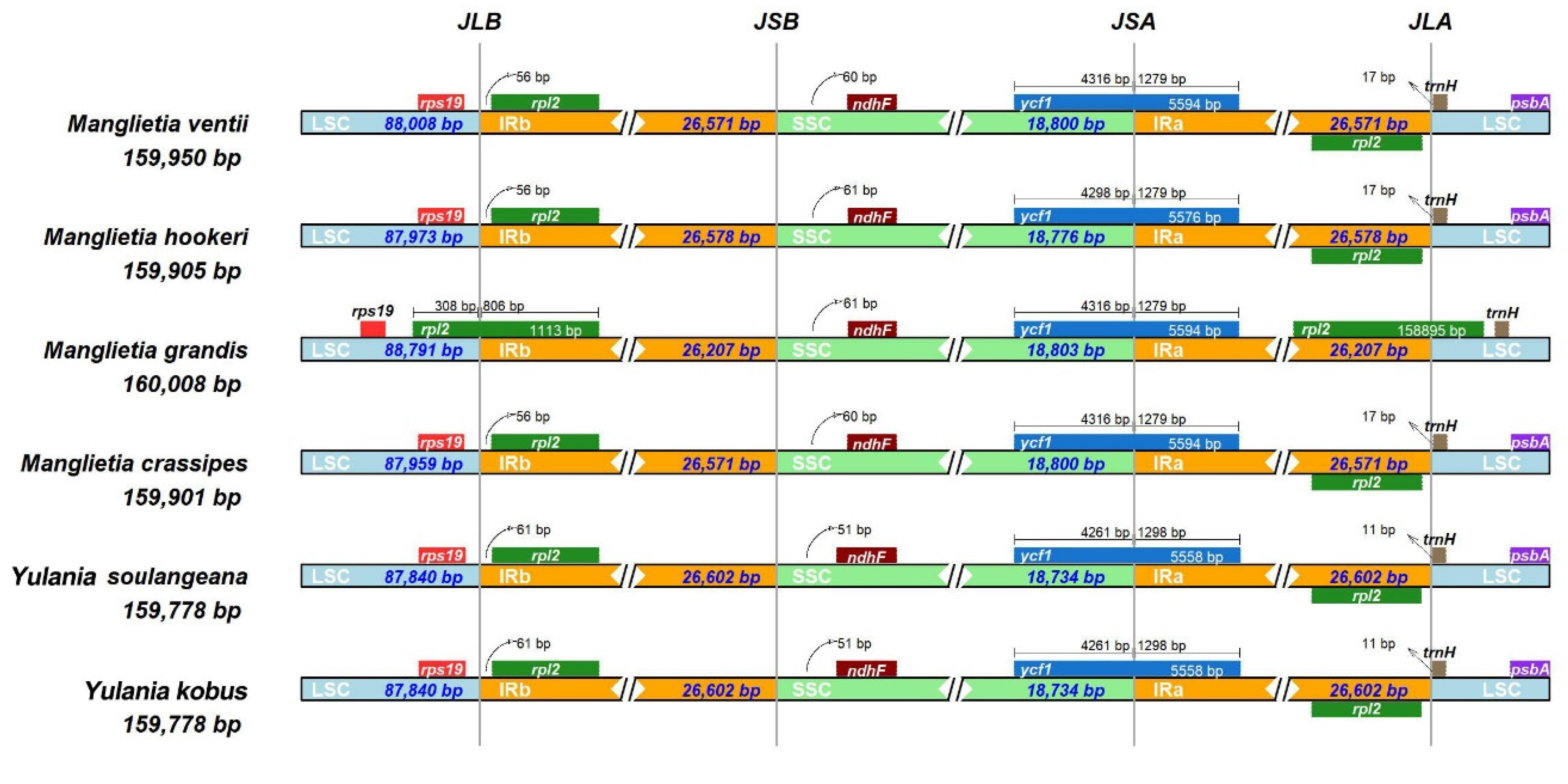 Biology 11 01279 g004