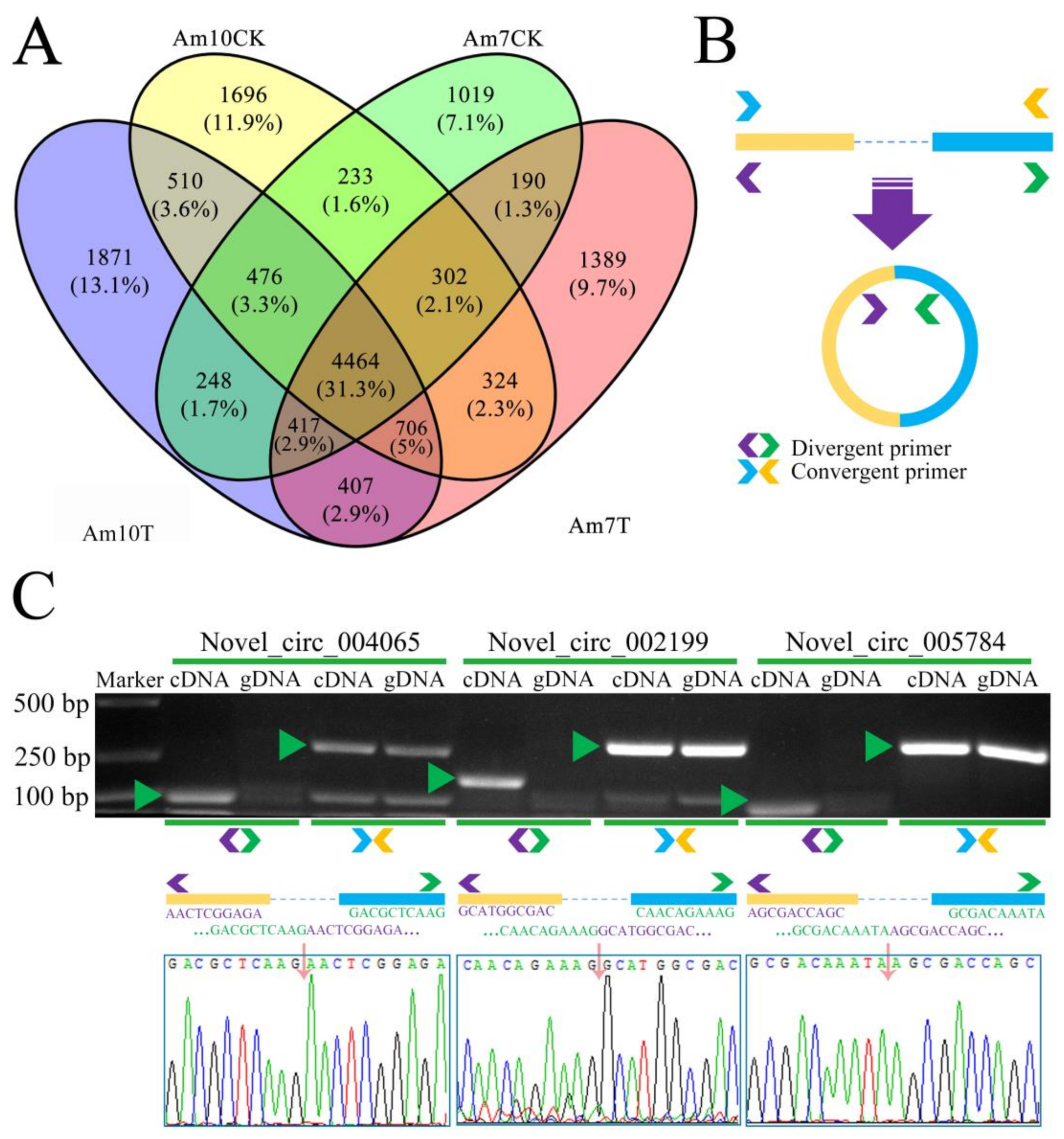 Biology 11 01285 g001