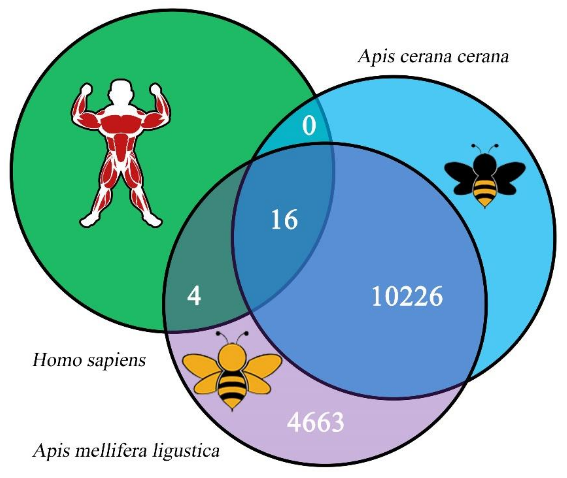 Biology 11 01285 g002