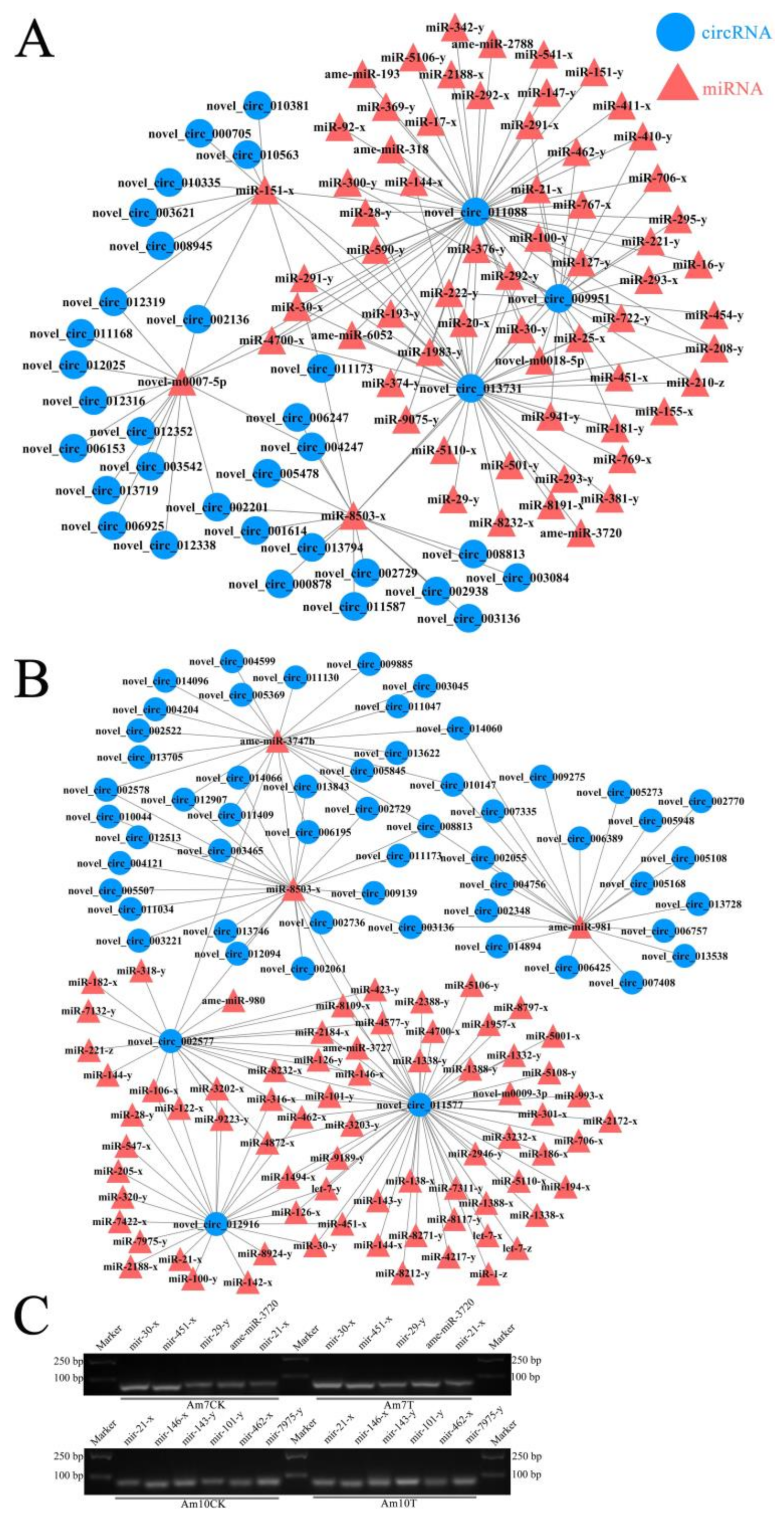 Biology 11 01285 g007