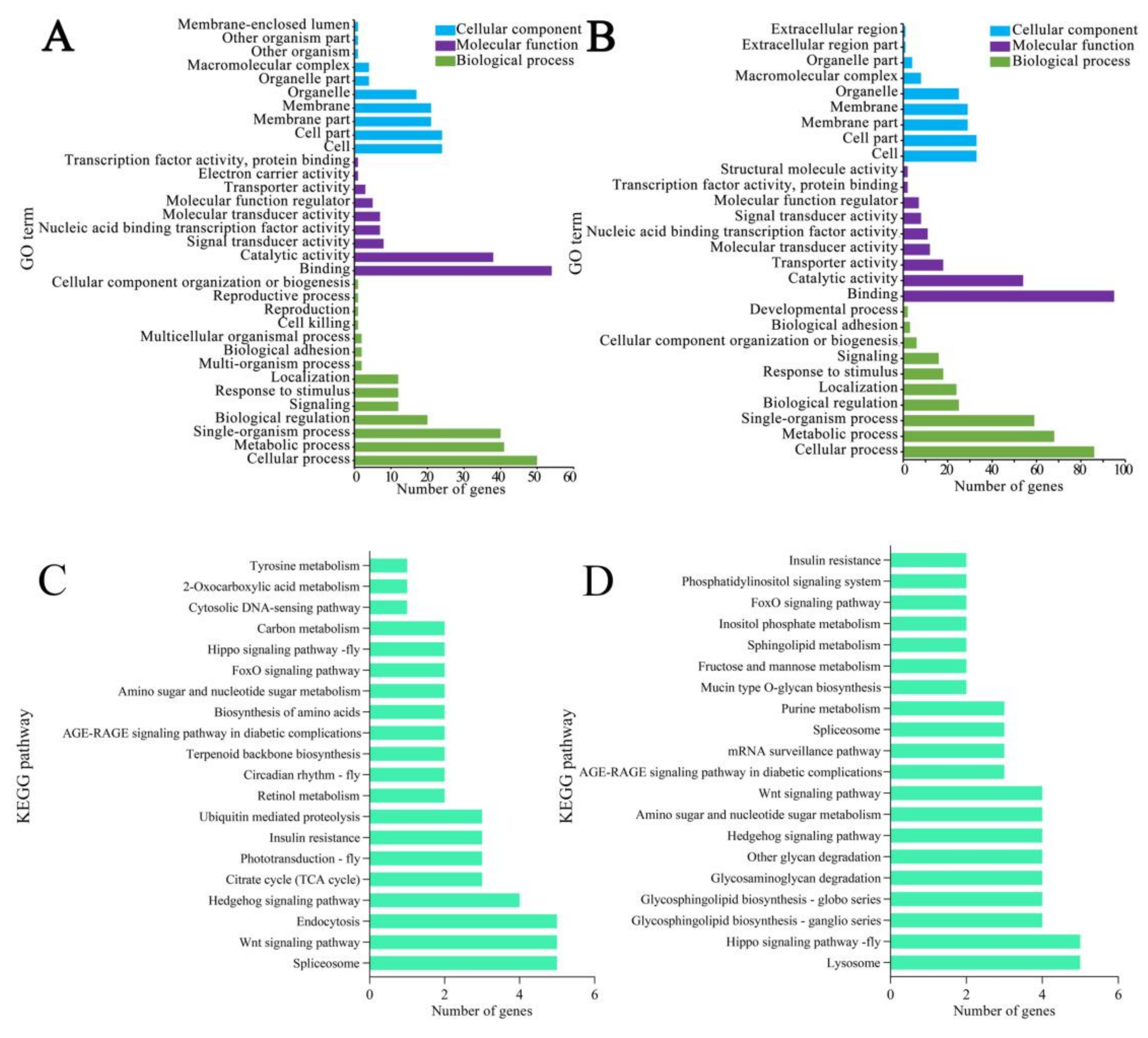 Biology 11 01285 g008