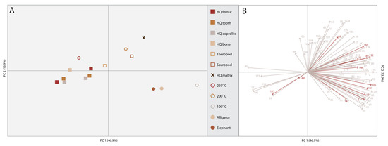 Comparing micro to macro. (A) A biological microscale, here a set of