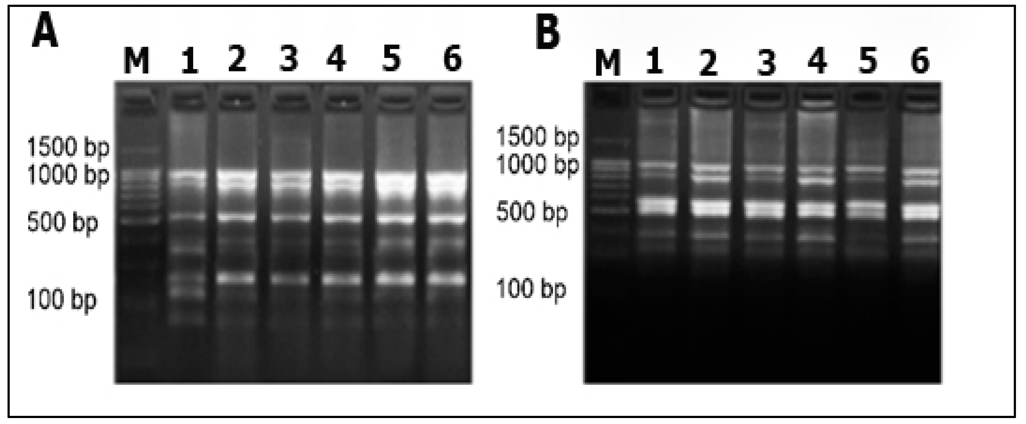 Biology 11 01305 g002 Biology 11 01305 g002