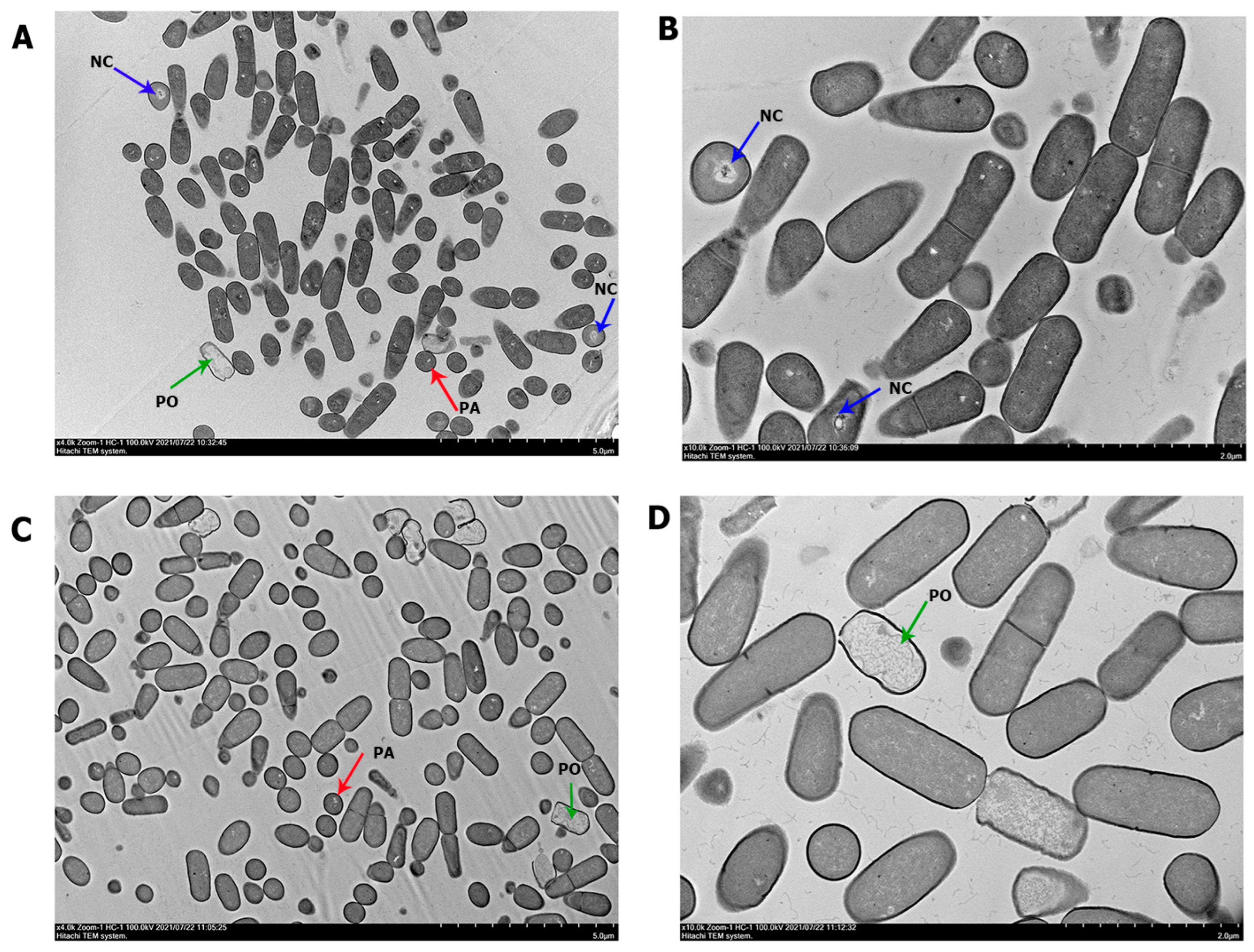 Biology 11 01305 g003 Biology 11 01305 g003