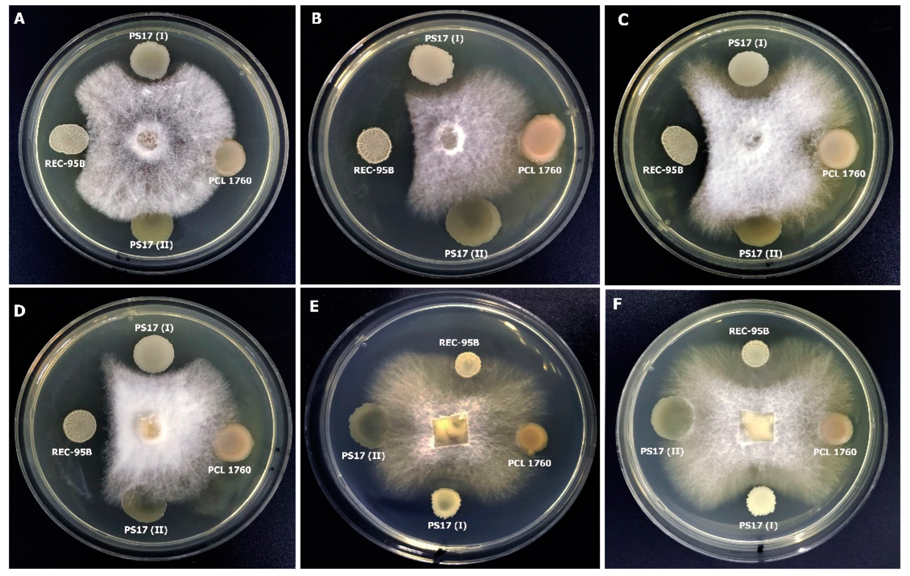 Biology 11 01305 g006 Biology 11 01305 g006
