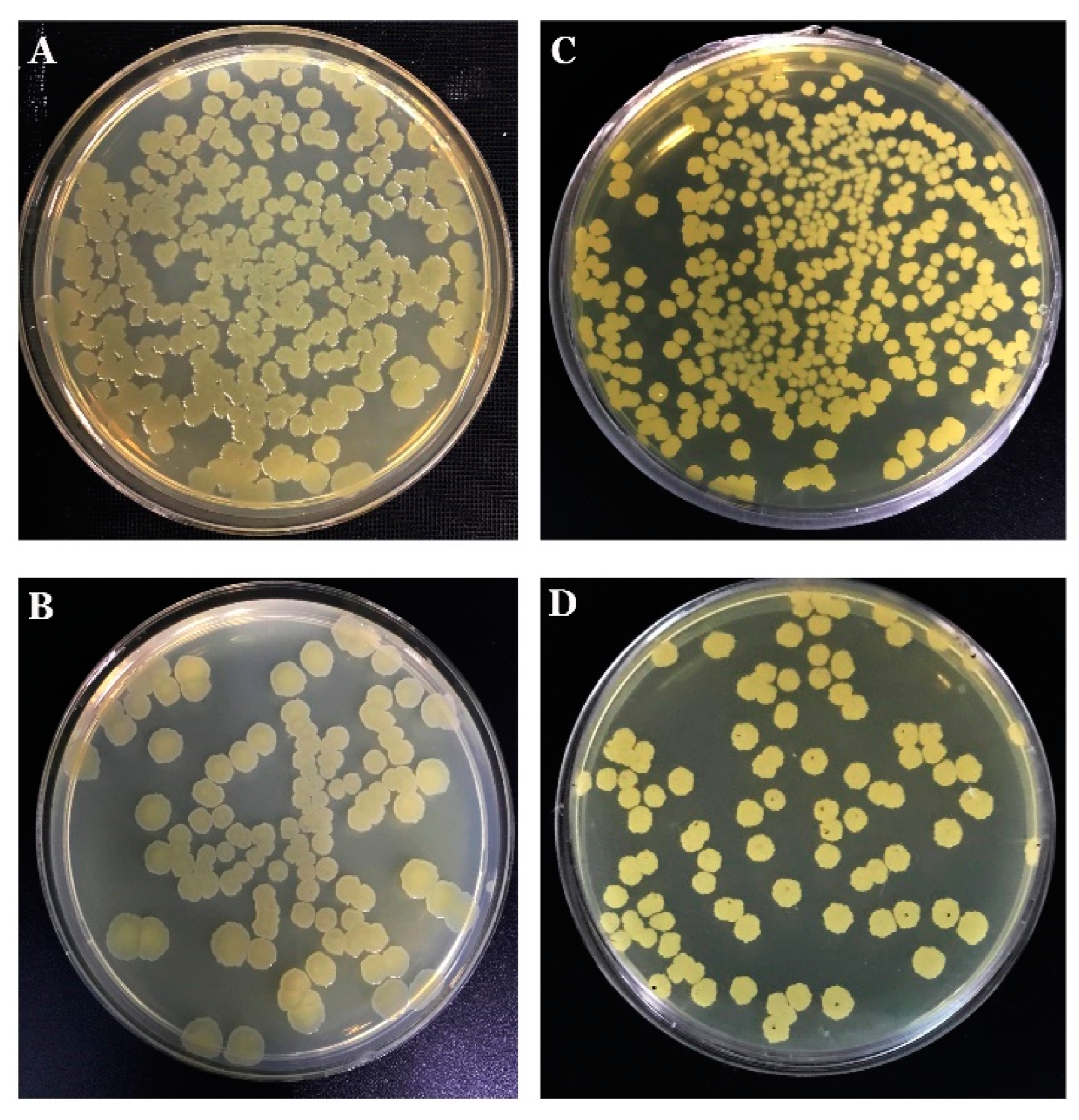 Biology 11 01305 g009 Biology 11 01305 g009
